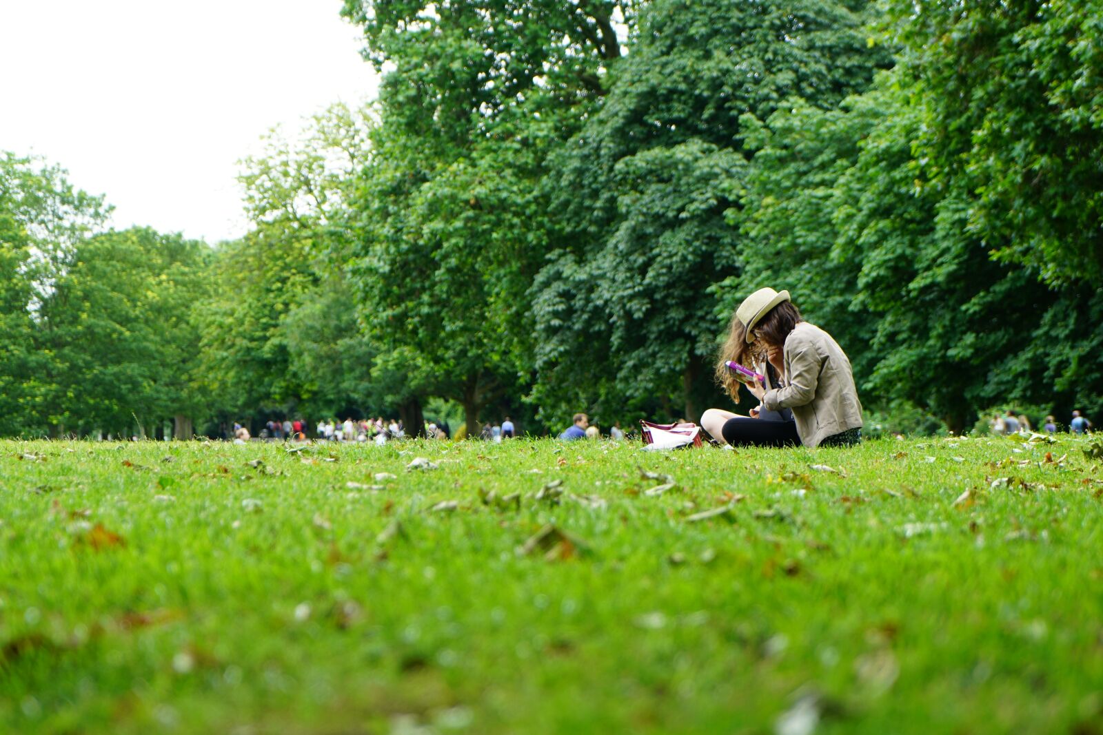 Sony Vario Tessar T* FE 24-70mm F4 ZA OSS sample photo. Girls in park, park photography