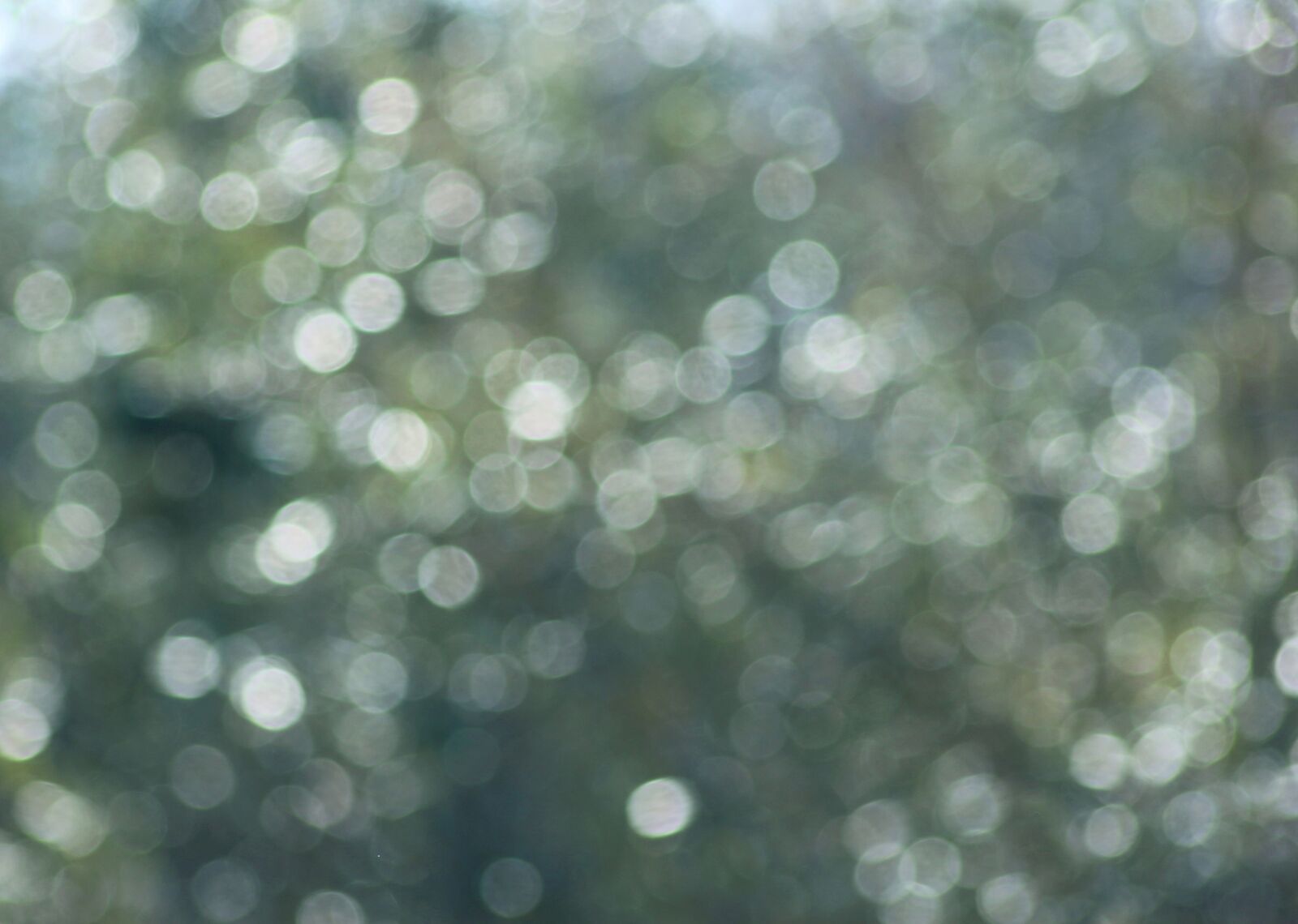Canon EOS 700D (EOS Rebel T5i / EOS Kiss X7i) sample photo. Blur, abstract, bright photography
