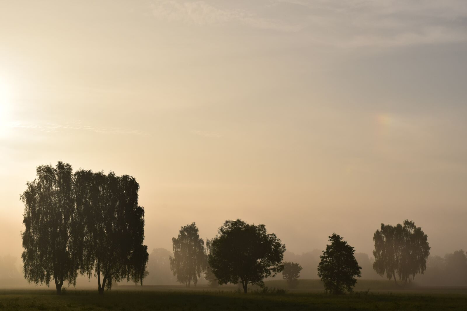 Nikon D3300 sample photo. Morning mist, fog, landscape photography