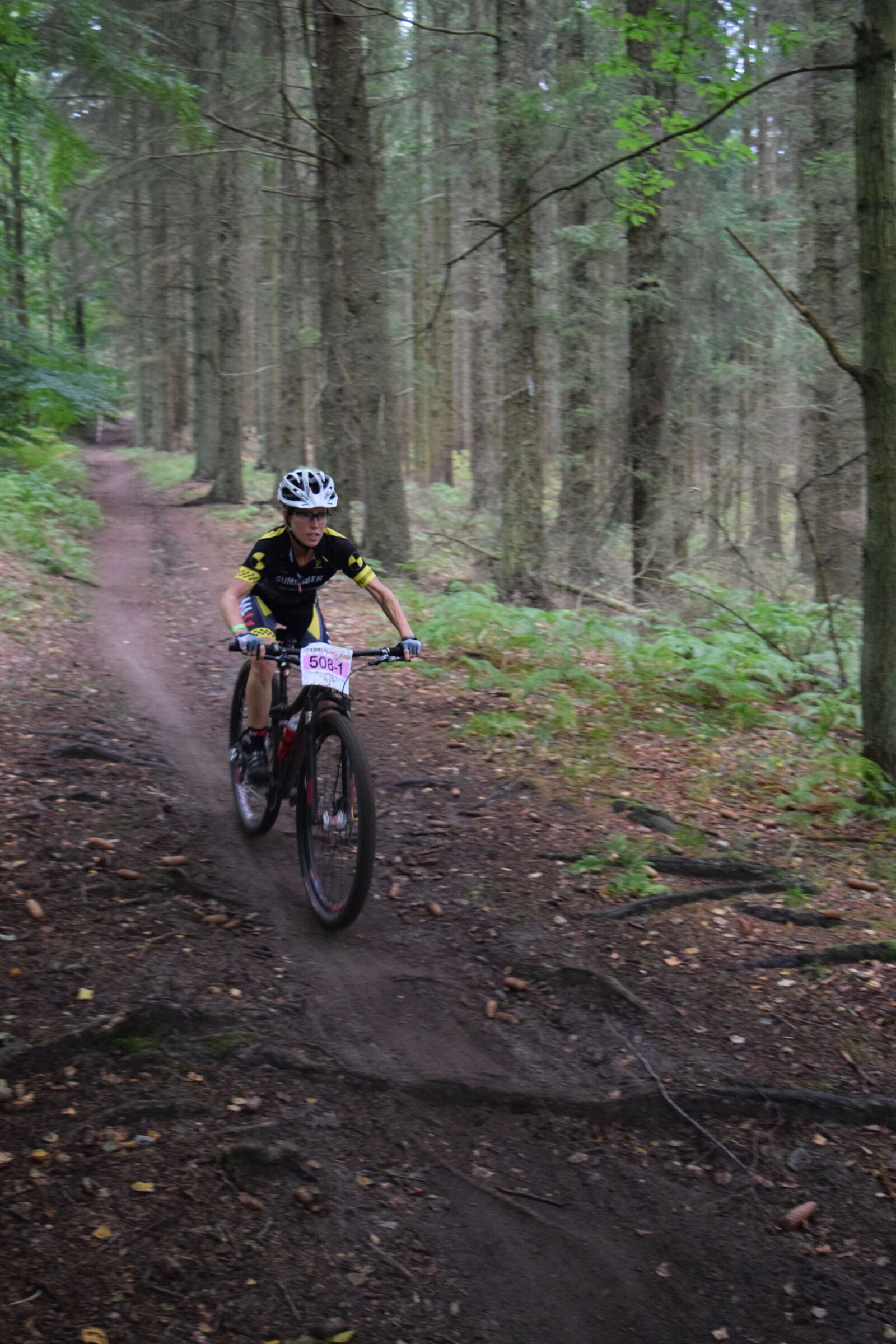 Nikon D5300 sample photo. Mountain bike, race, forest photography