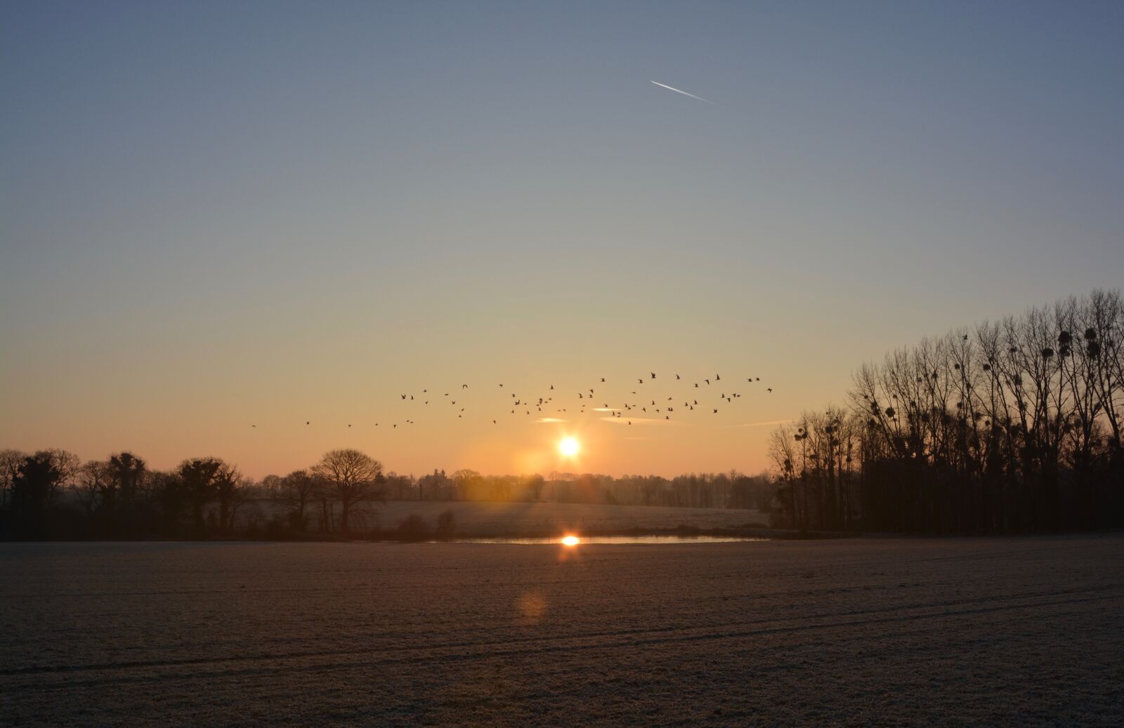 Nikon D5200 sample photo. Sun, sky, light photography