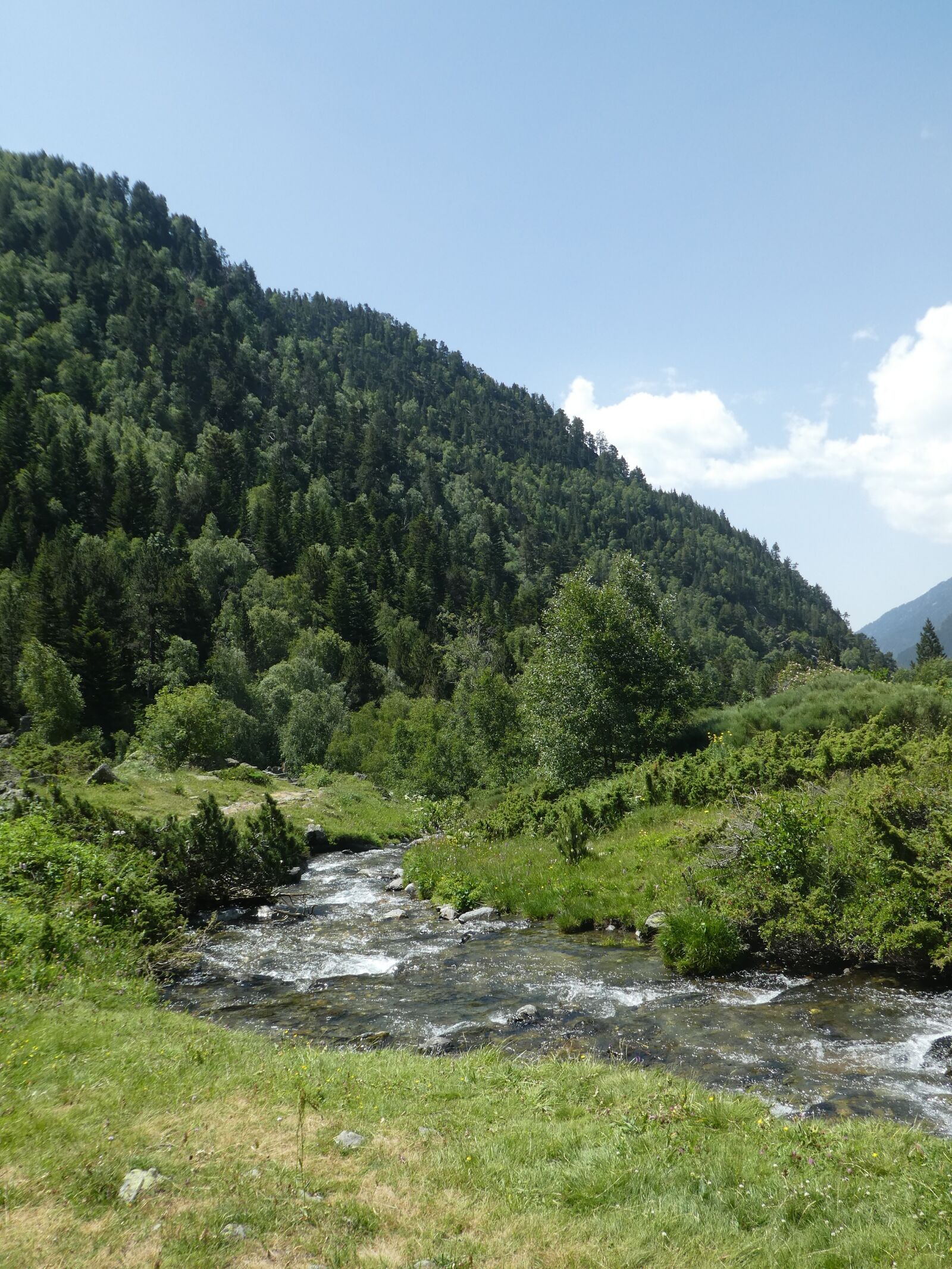 Panasonic DMC-TZ82 sample photo. River, trees, mountain photography