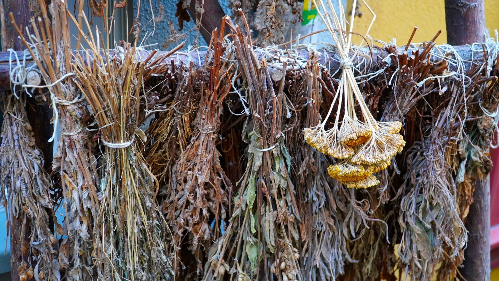 Sony E PZ 18-105mm F4 G OSS sample photo. Herbs, dried, lavender photography