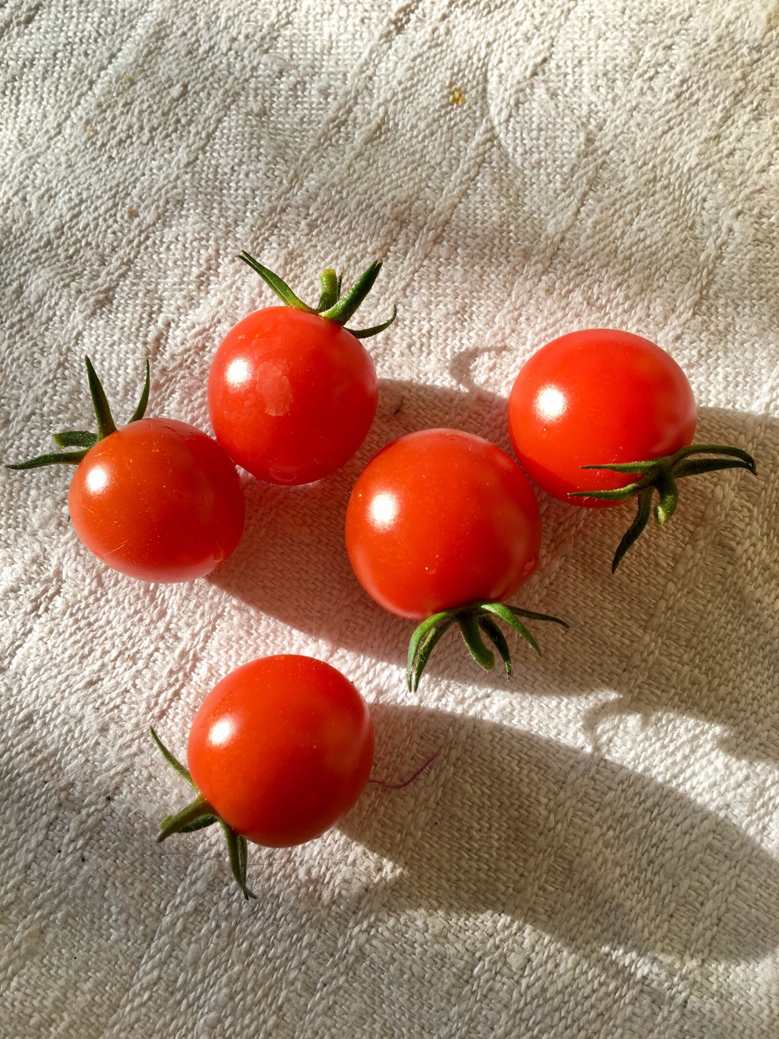 Apple iPhone 6s sample photo. Vegetables, tomato, tomatoes photography