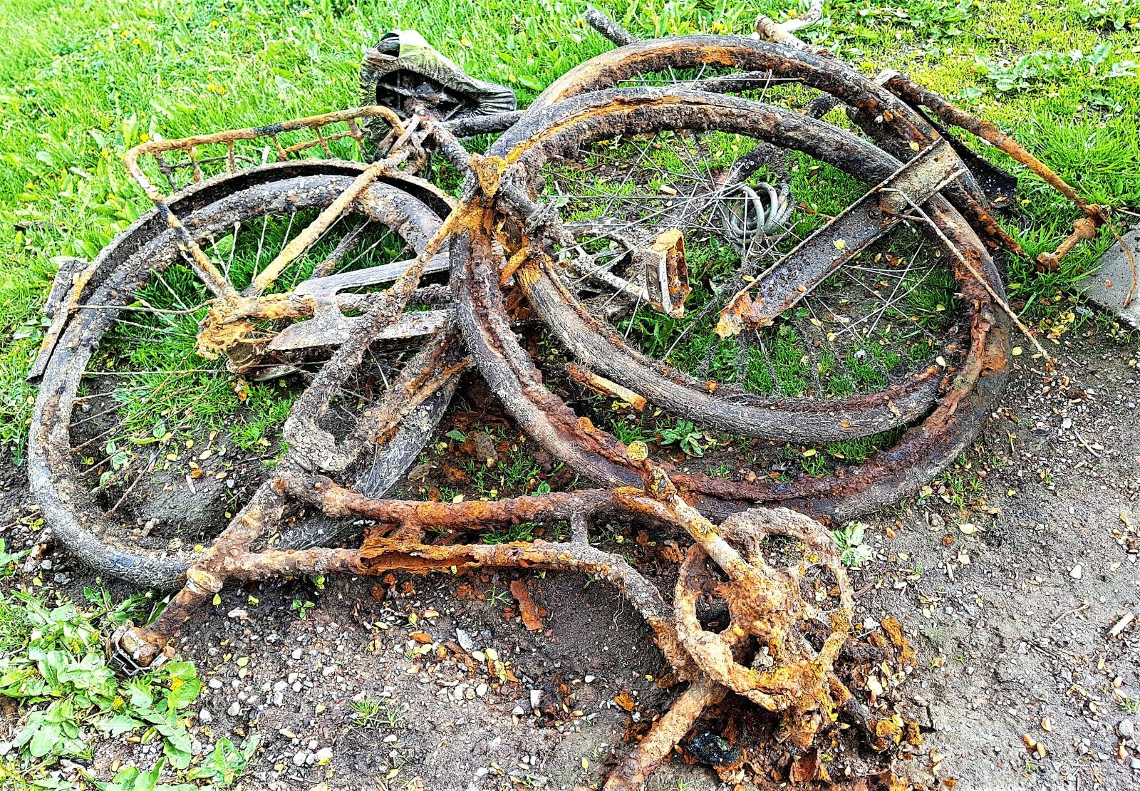 Samsung Galaxy S7 Edge sample photo. Rusted, rust, bicycle photography