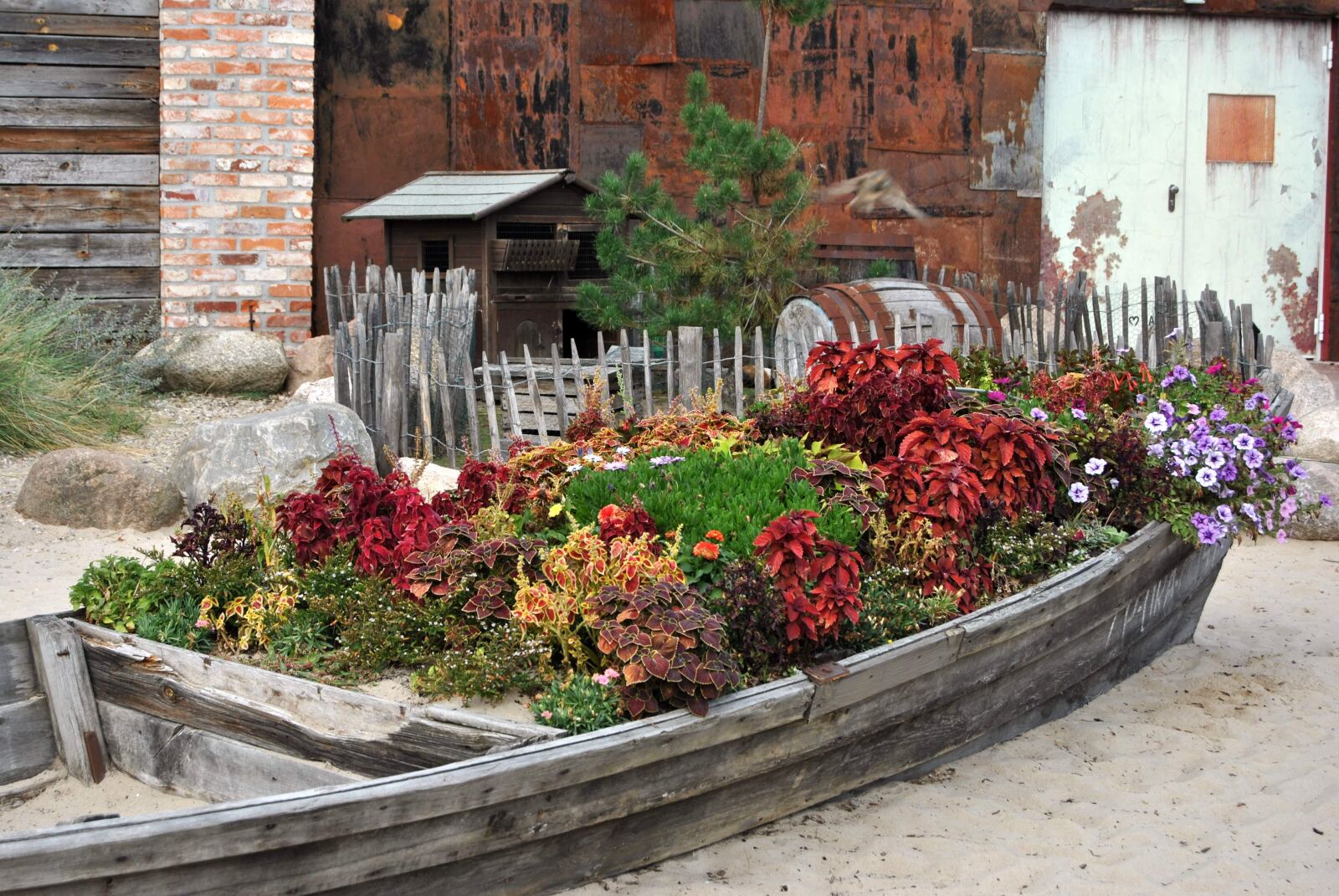 Nikon D3000 sample photo. Plant, autumn, golden autumn photography