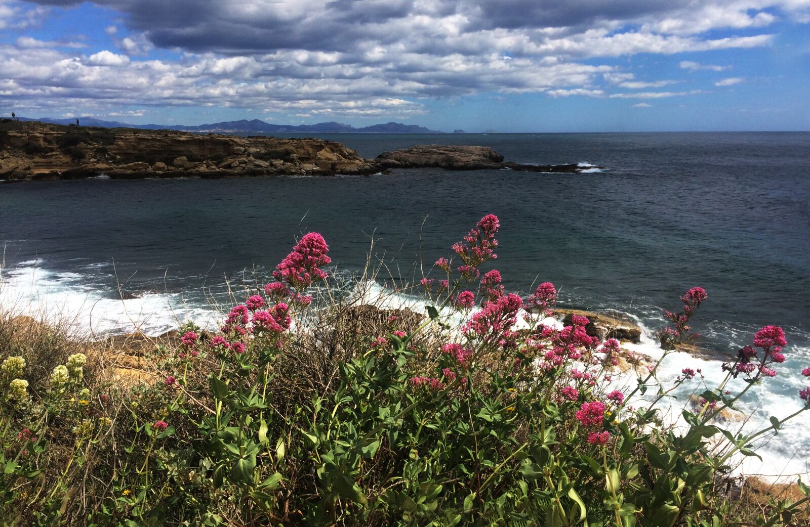 iPhone 5s back camera 4.15mm f/2.2 sample photo. Flowers, sea, provence photography