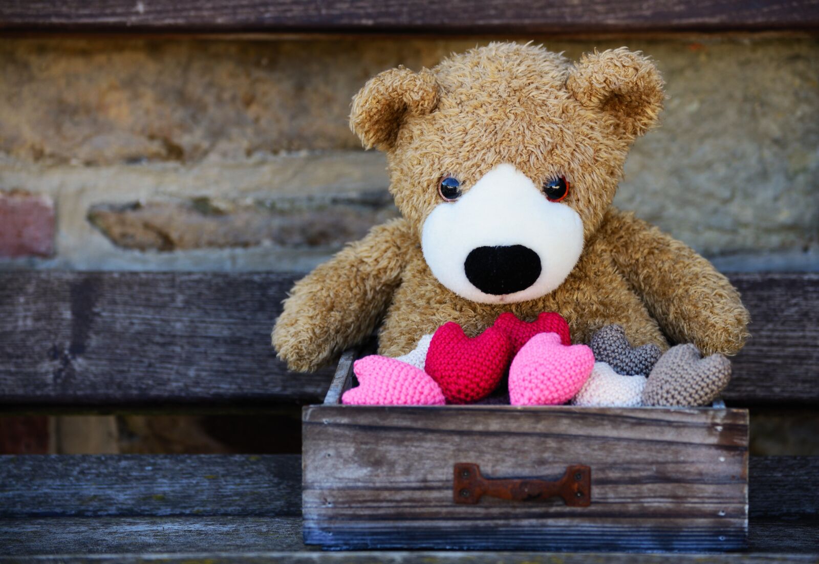 Nikon D610 sample photo. Teddy, teddy bear, heart photography