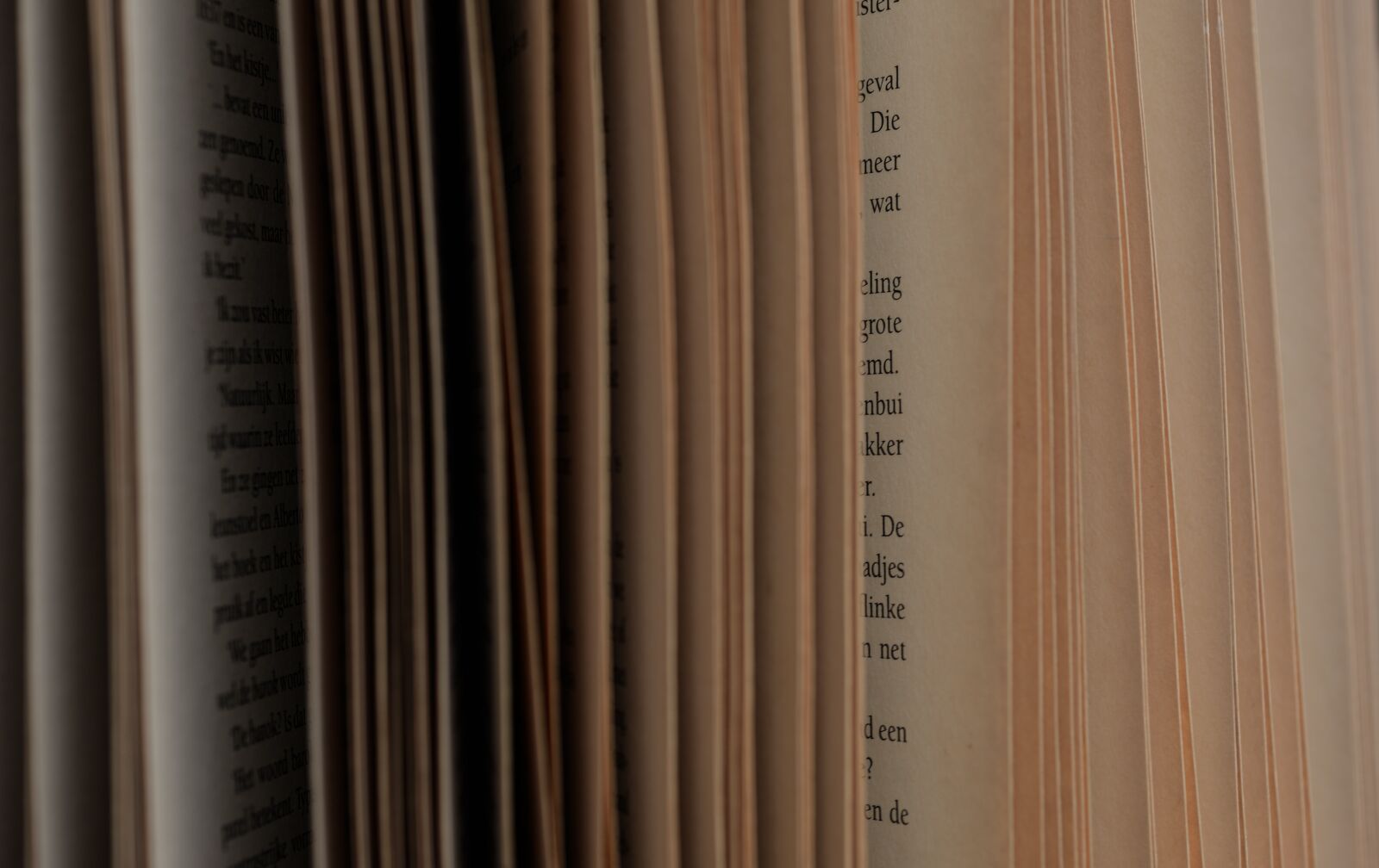 Nikon D610 sample photo. Pages, book, open photography