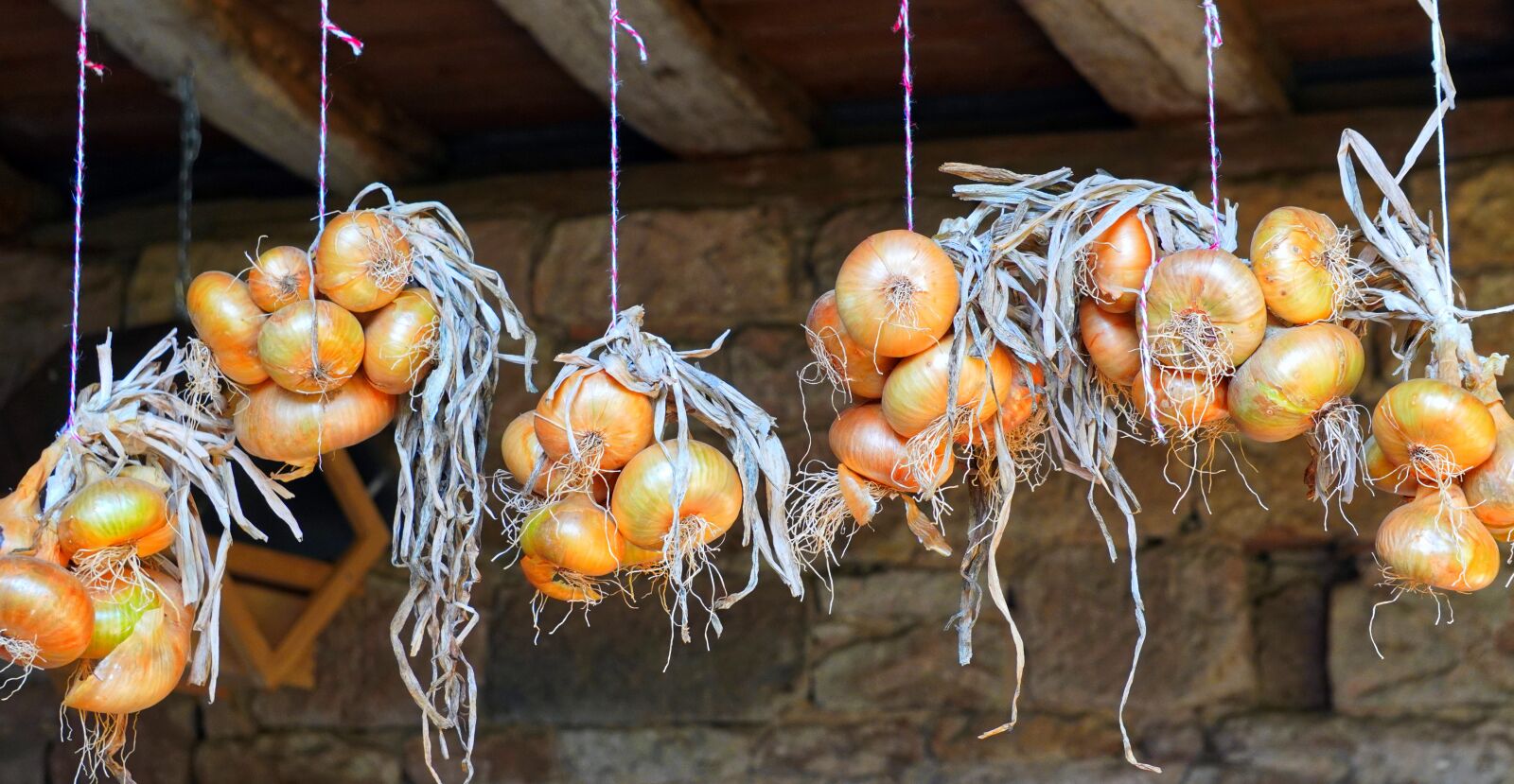 Sony E 55-210mm F4.5-6.3 OSS sample photo. Onions, harvest, fresh photography