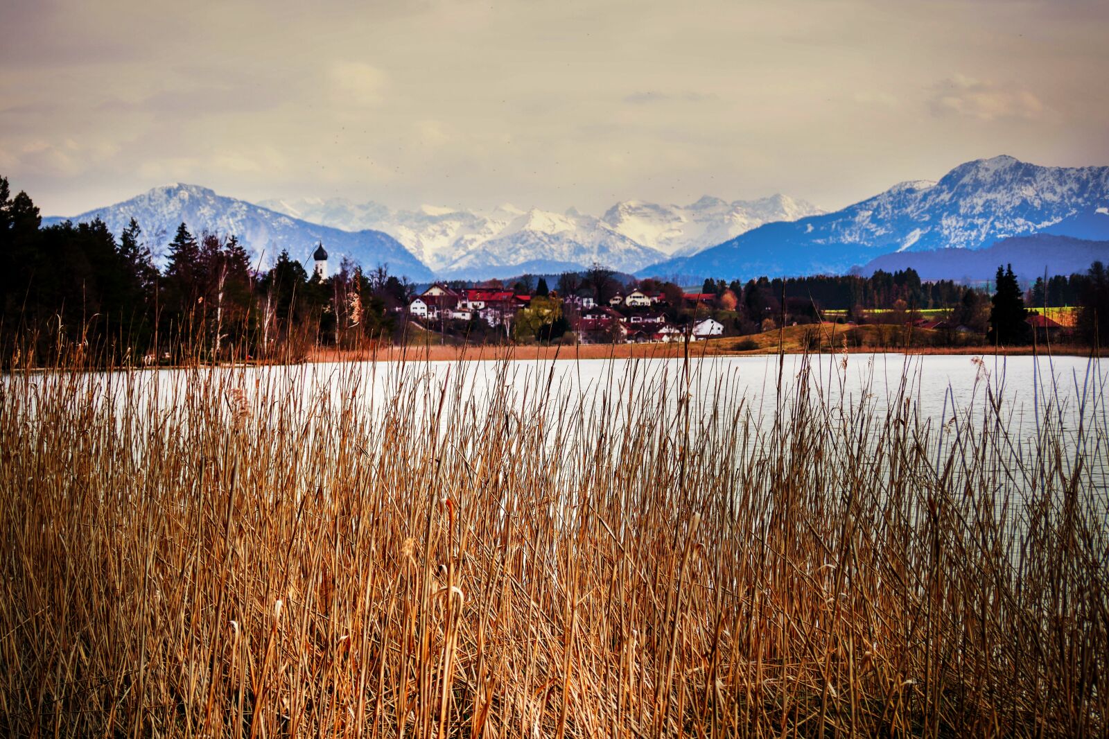 Panasonic Lumix DMC-GX8 sample photo. Alpine, panorama, reed photography