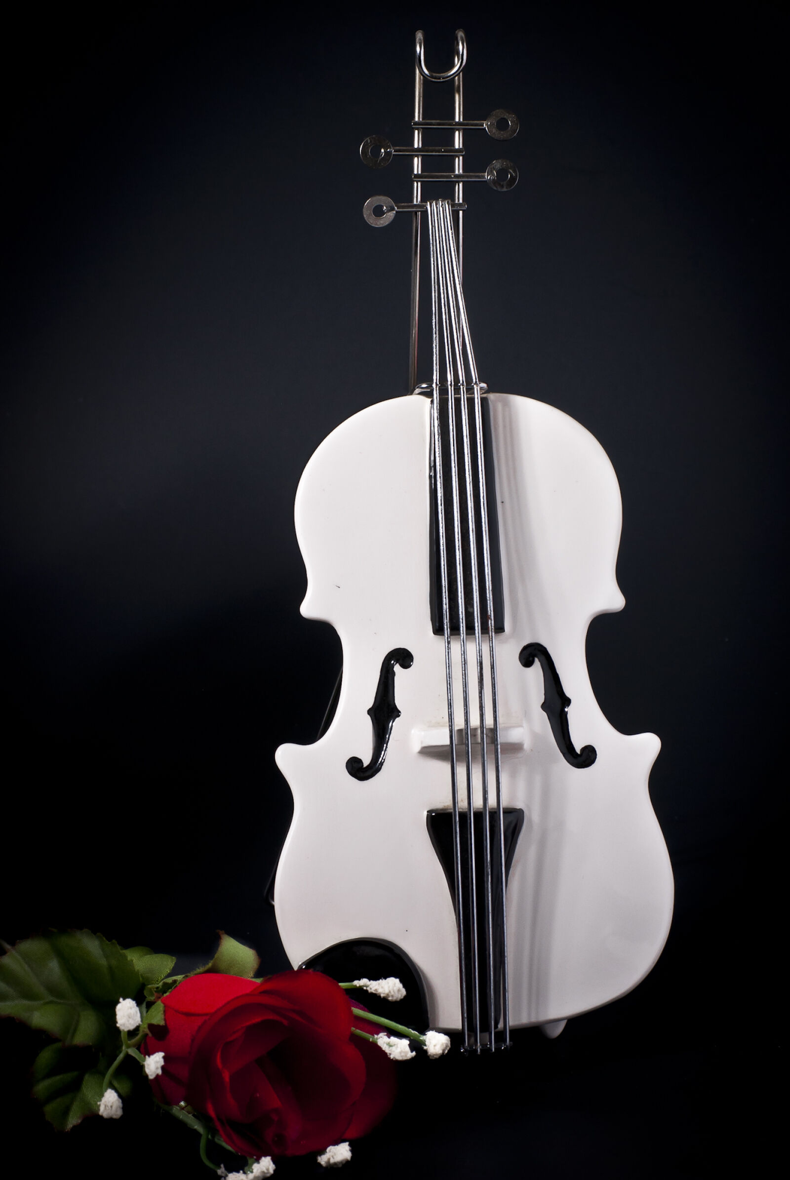 Nikon D200 sample photo. Violin, violon photography