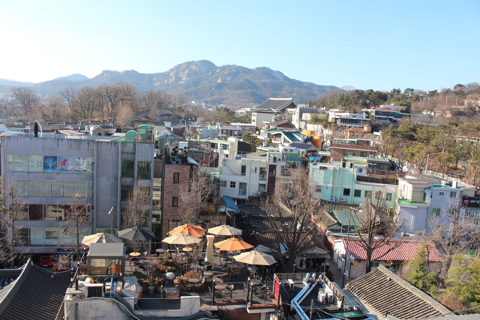 Canon EOS 700D (EOS Rebel T5i / EOS Kiss X7i) sample photo. South, korea, winter photography
