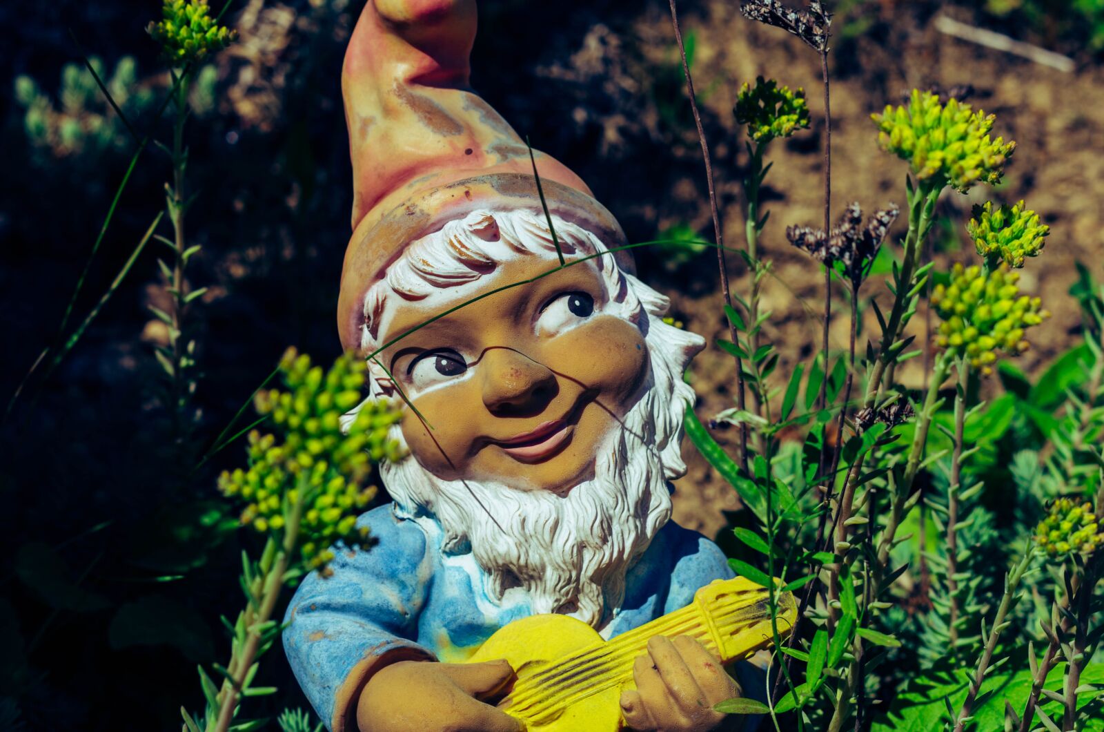 Pentax K-5 sample photo. Dwarf, garden, summer photography