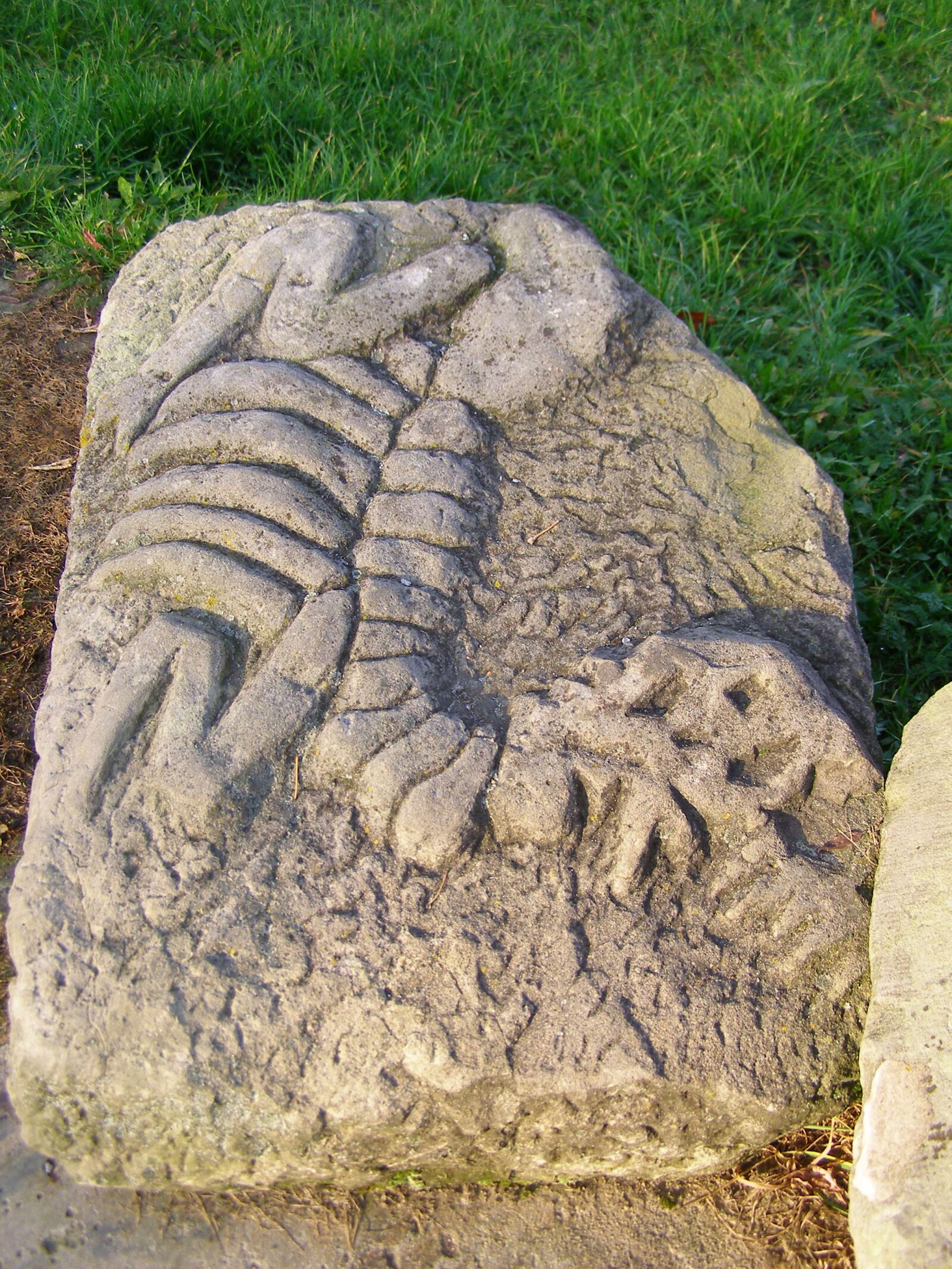 Olympus SP500UZ sample photo. Fossil, sculpture, dinosaur photography
