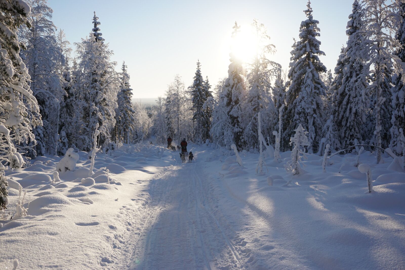 Sony E 16-50mm F3.5-5.6 PZ OSS sample photo. Winter, sun, landscape photography