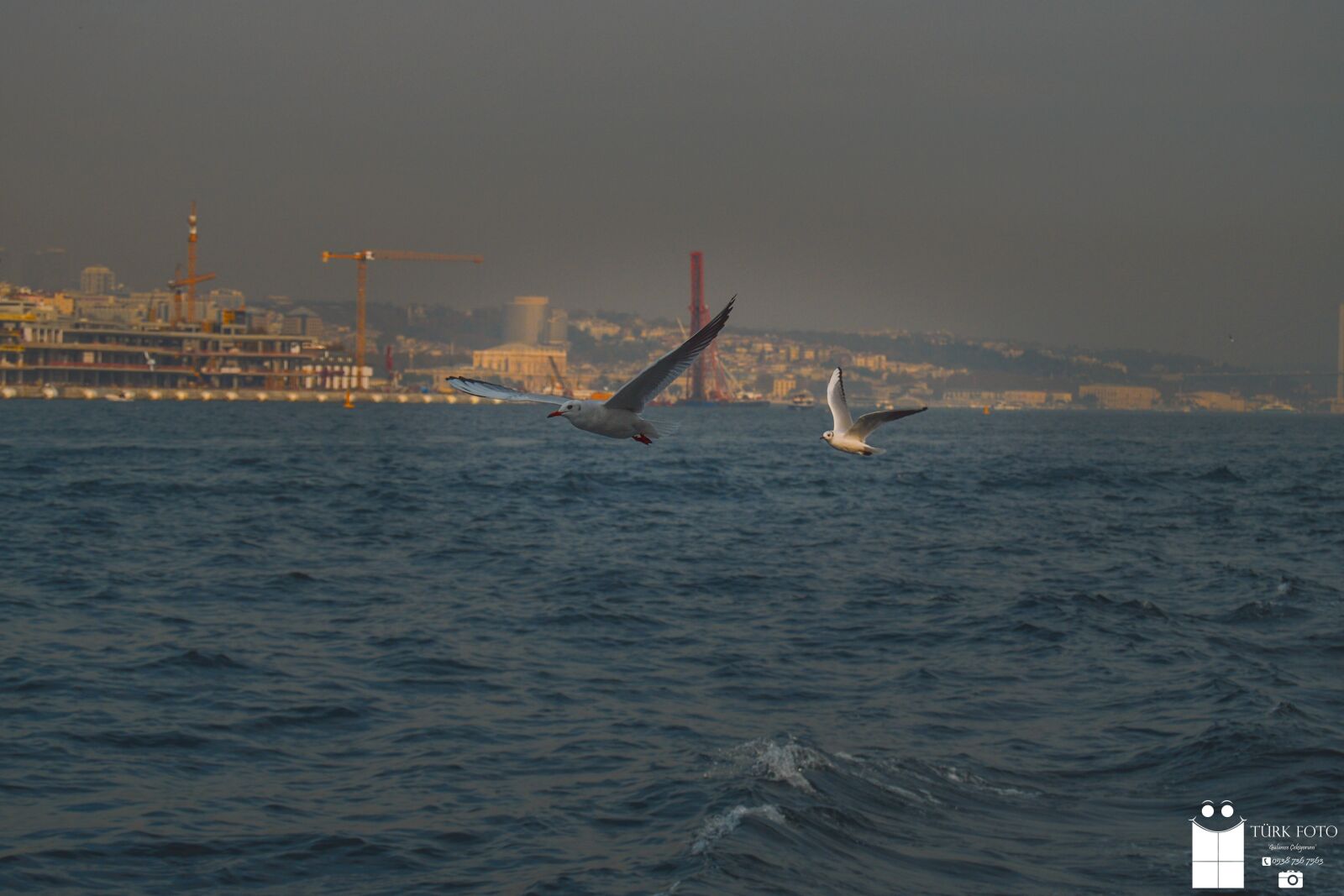 Nikon D3200 sample photo. Istanbul, gemi, kızkulesi photography