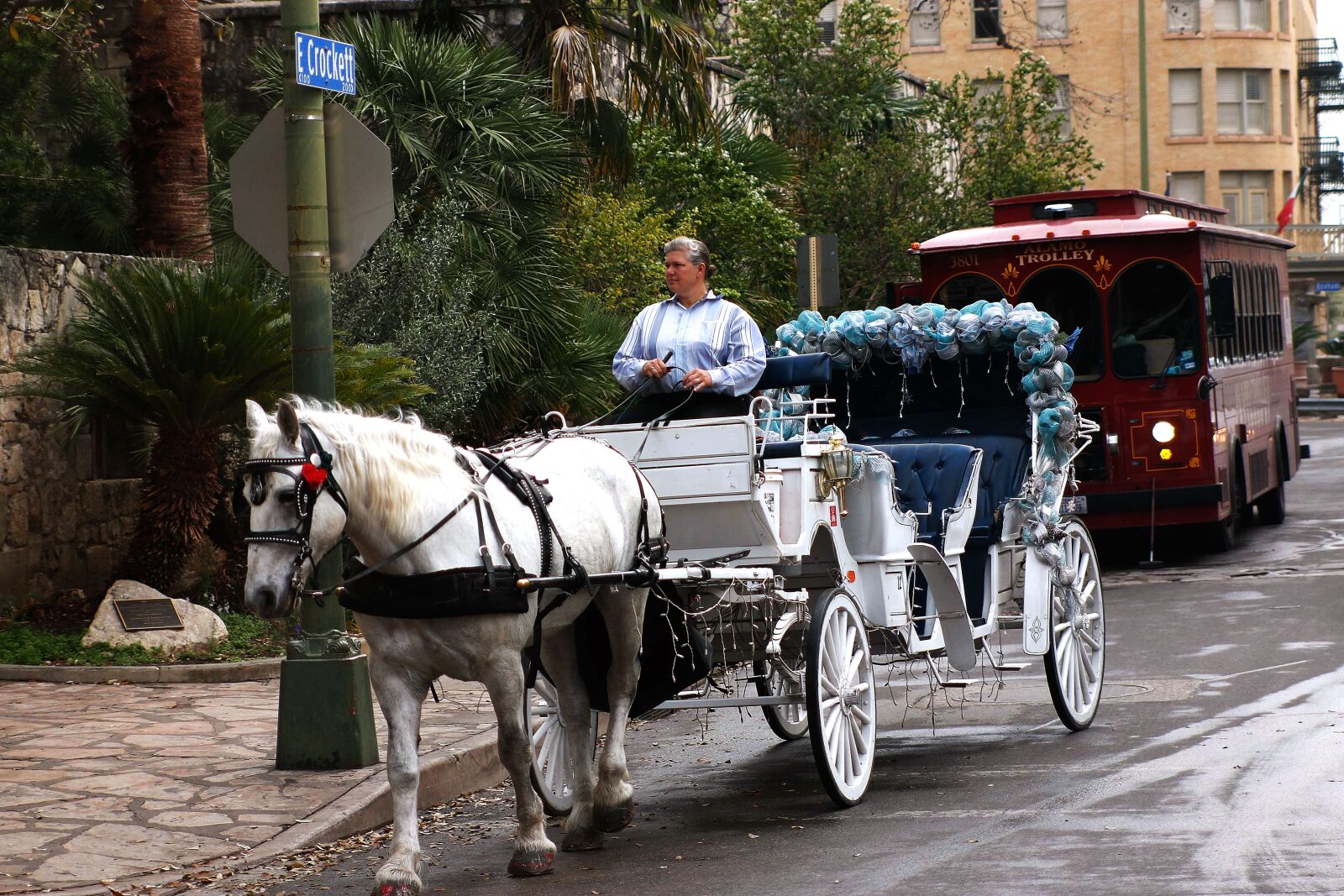 Canon EOS 70D sample photo. Carriage, horse-drawn, trolley photography