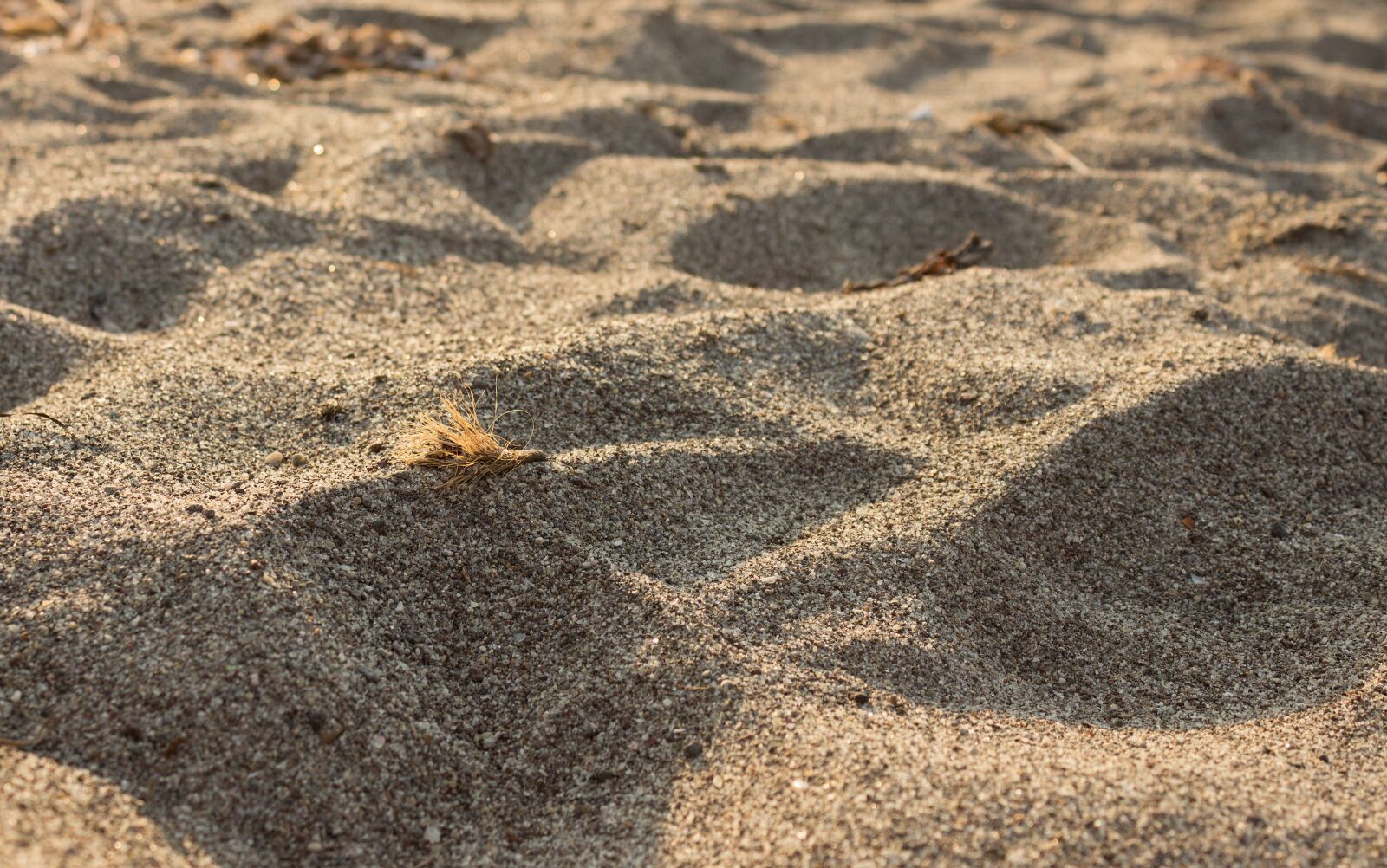 Canon EOS 700D (EOS Rebel T5i / EOS Kiss X7i) sample photo. Sand, beach, environmental photography