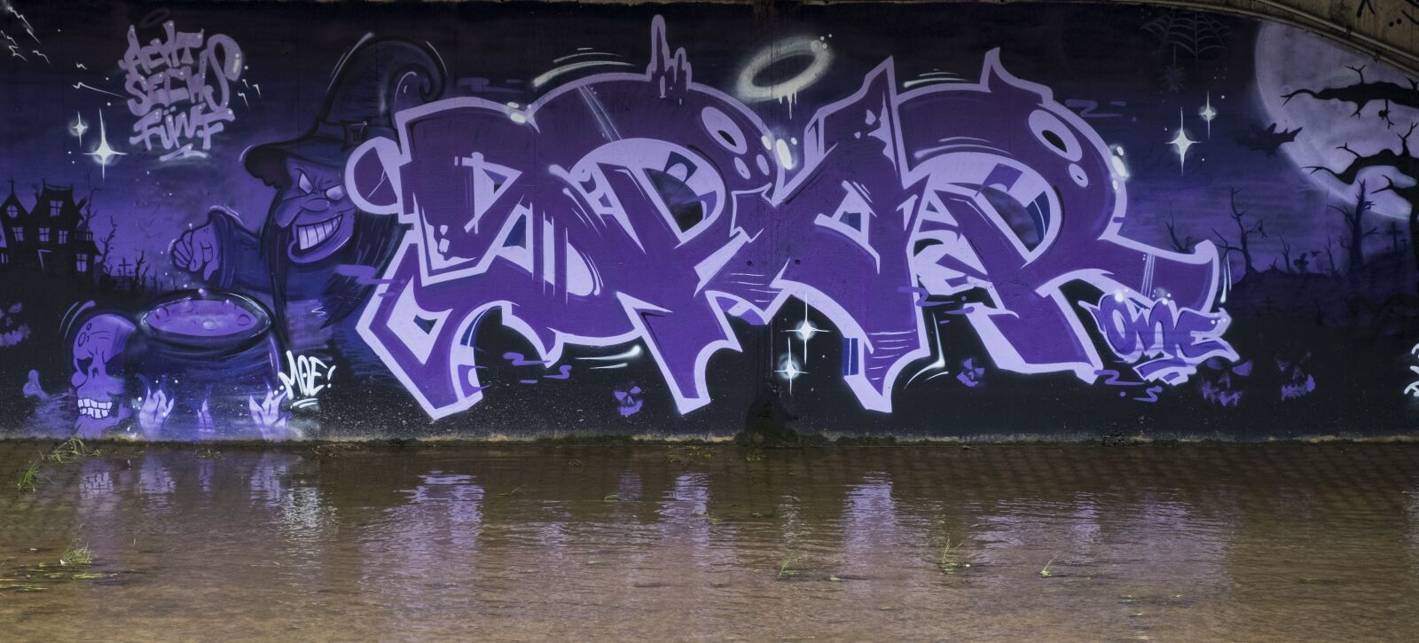 Fujifilm XF 18-55mm F2.8-4 R LM OIS sample photo. Art, graffiti, wall photography