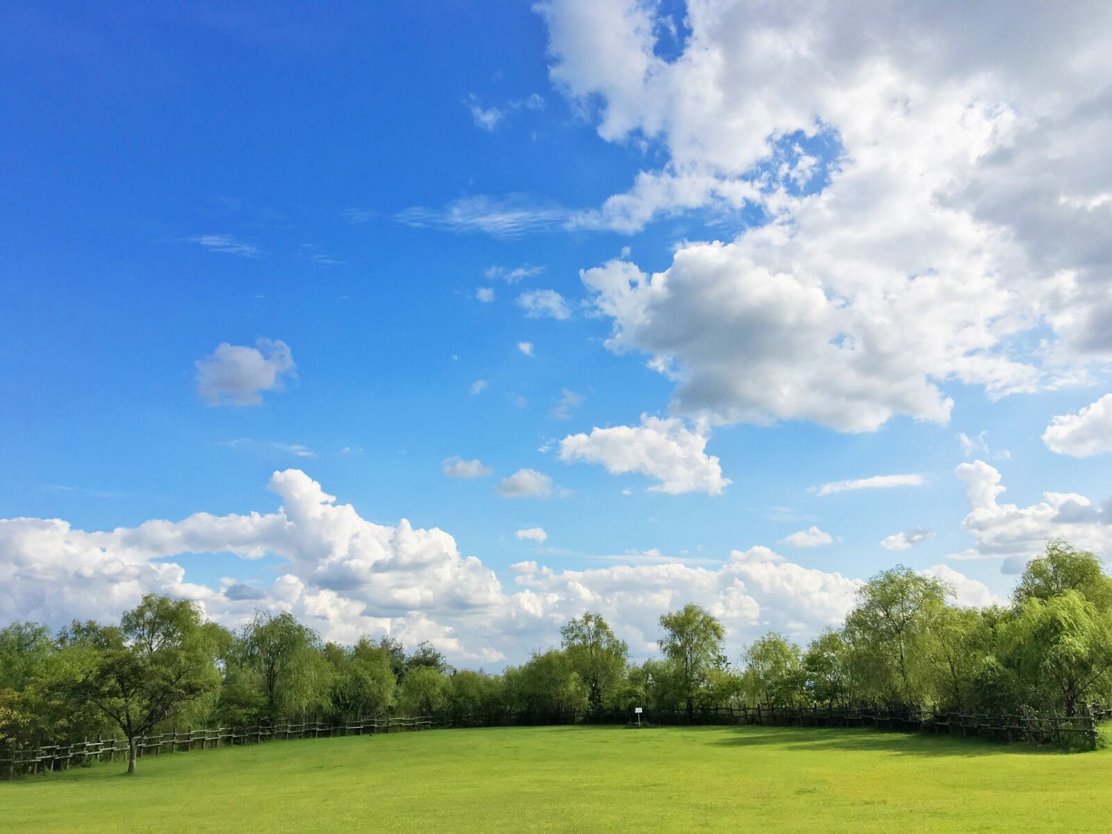 Apple iPhone 6s sample photo. Sky, grass, cloud photography