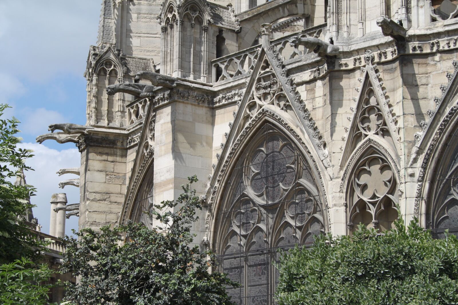 Canon EOS 500D (EOS Rebel T1i / EOS Kiss X3) sample photo. France, paris, cathedral photography