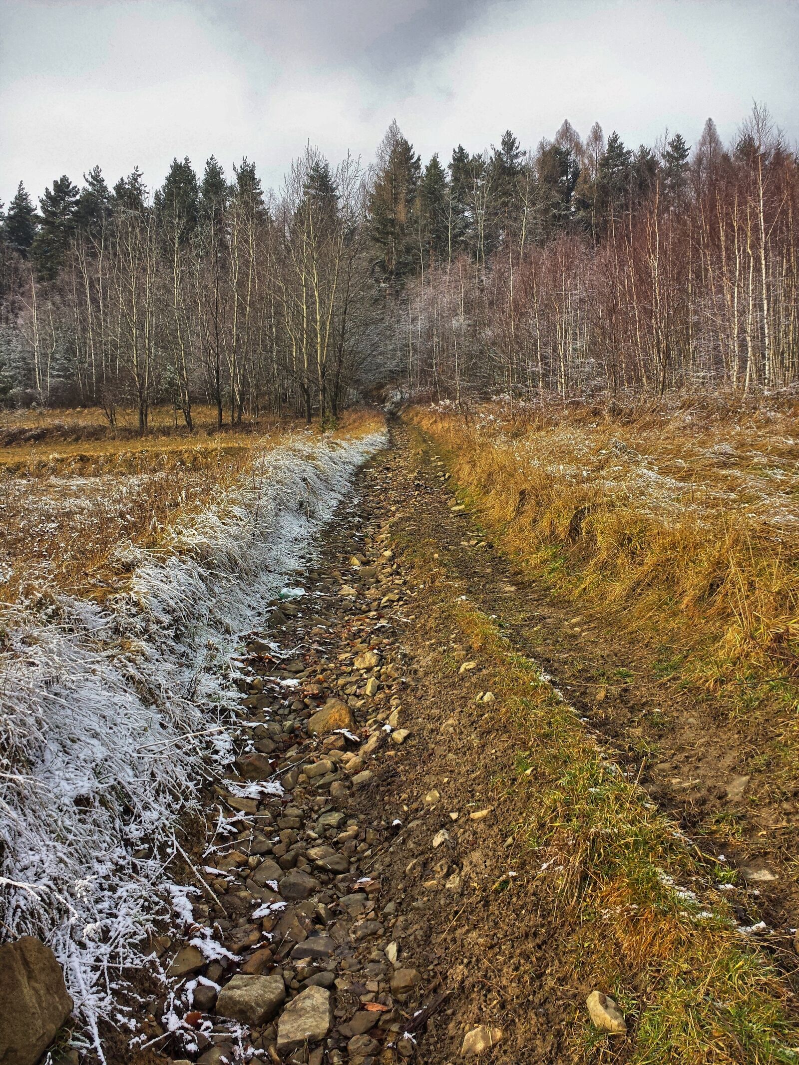 Samsung Galaxy S4 sample photo. Way, autumn, landscape photography