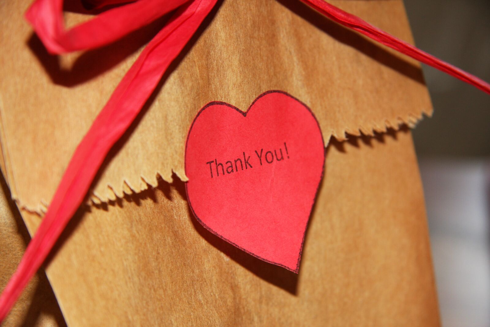 Canon EOS 40D sample photo. Valentine, paper bag, love photography