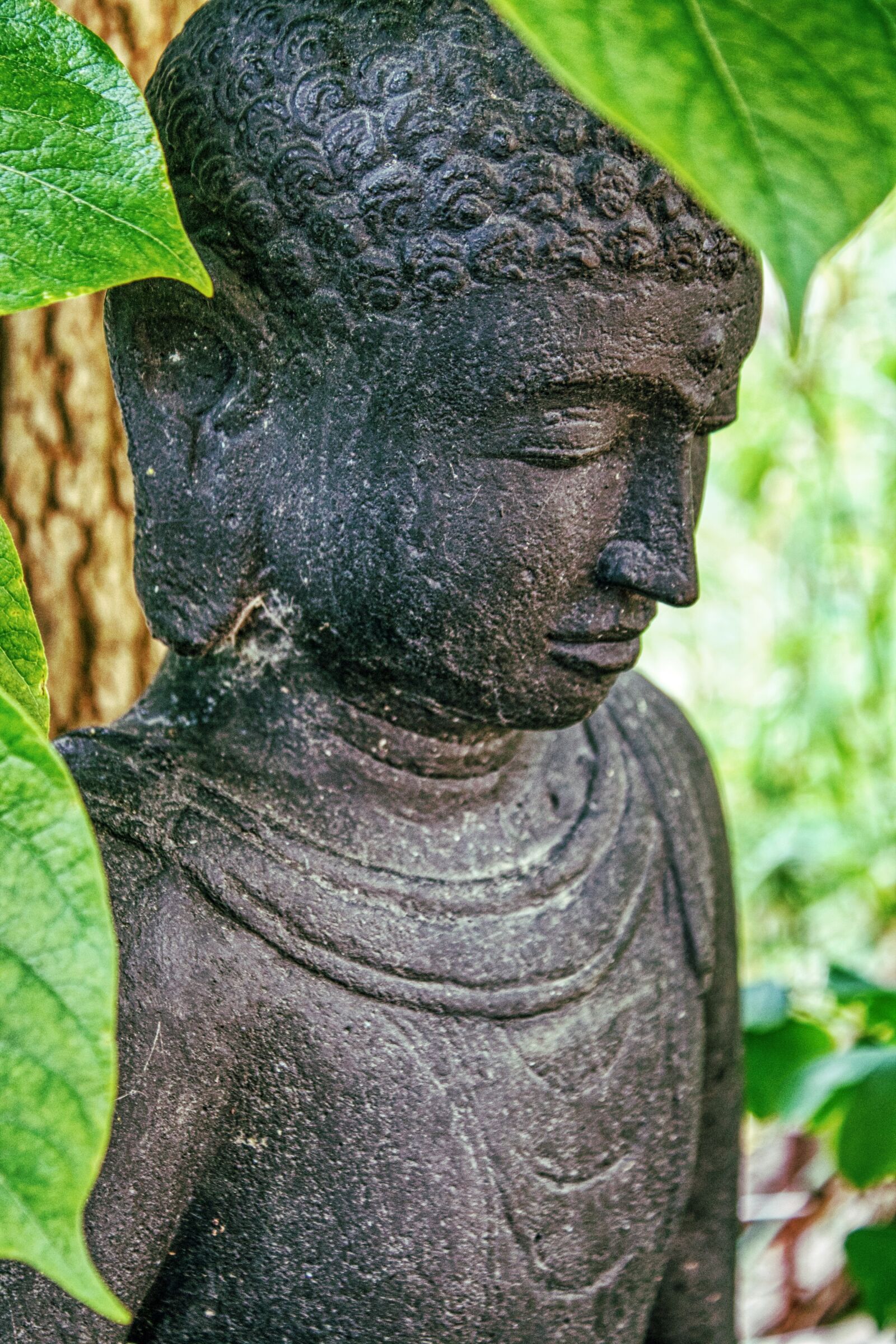 Canon EOS 1100D (EOS Rebel T3 / EOS Kiss X50) sample photo. Buddha, tantra, harmony photography