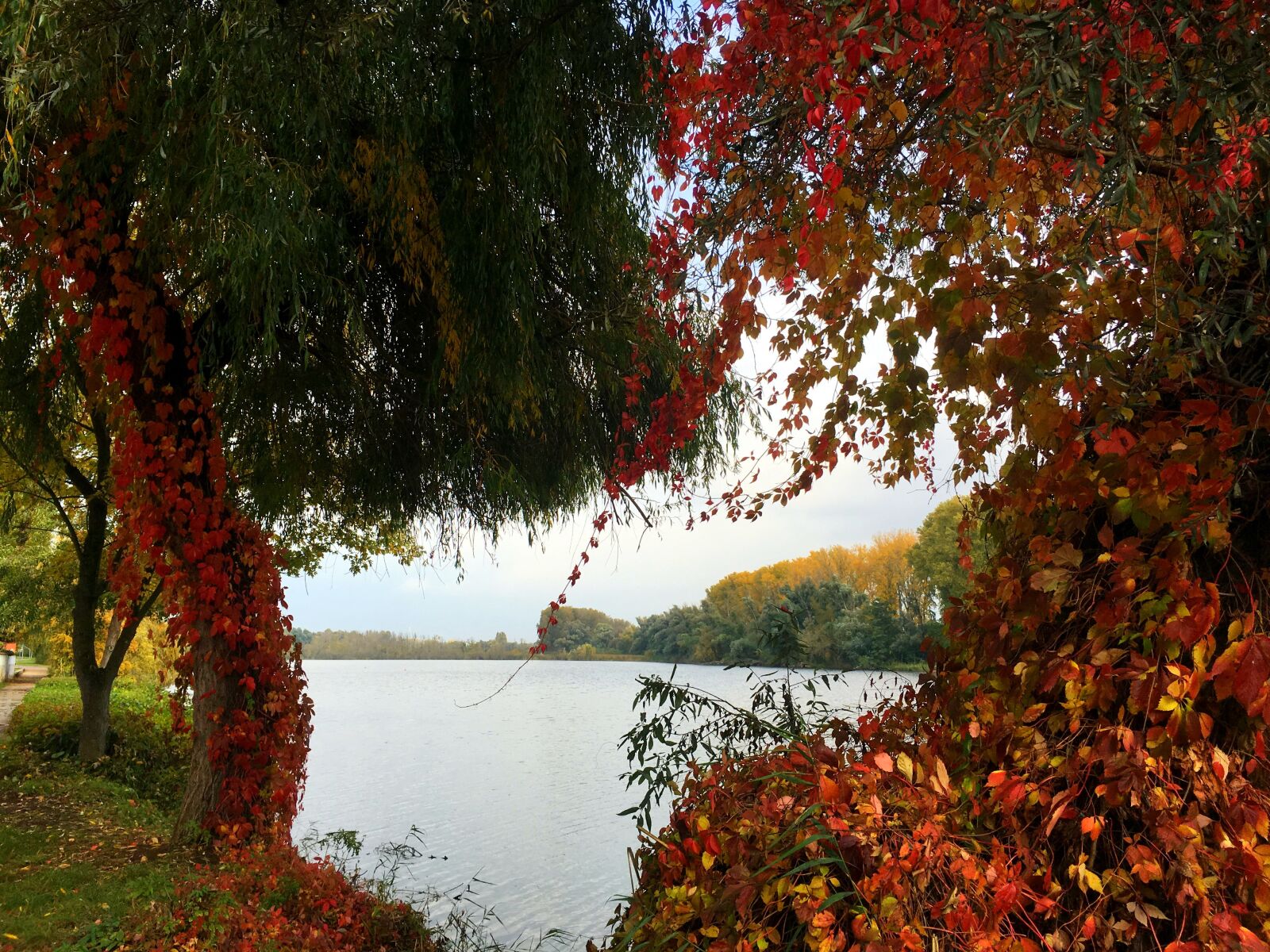 Apple iPhone 6s sample photo. Nature, landscape, autumn photography