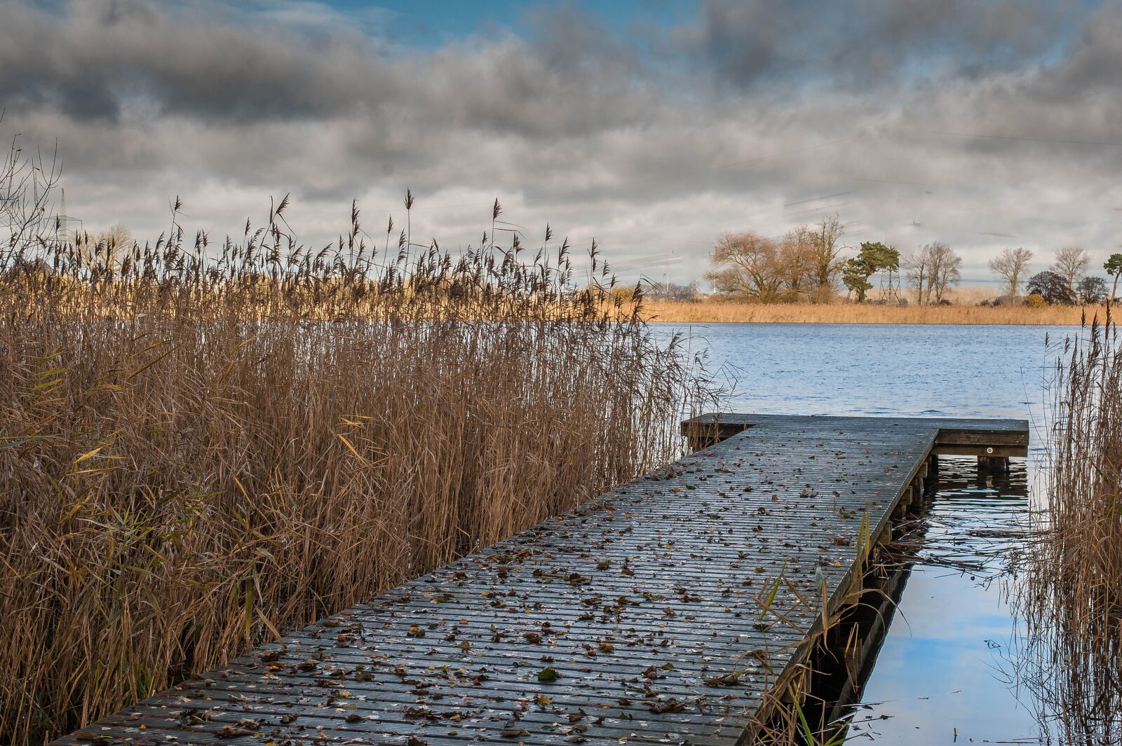 Nikon D700 sample photo. Web, lake, sky photography