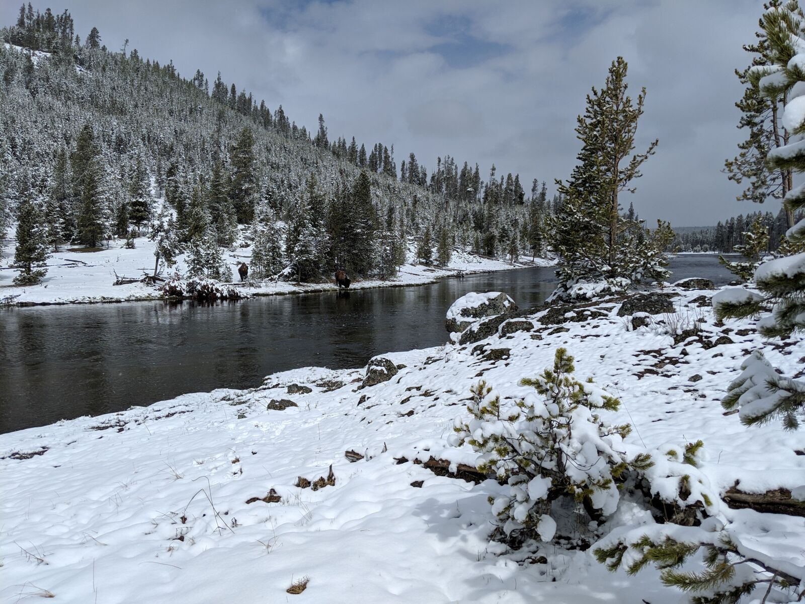Google Pixel 3 sample photo. Yellowstone, spring, snow photography