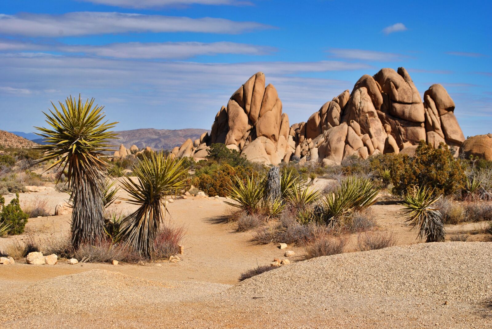 Nikon D3000 sample photo. Desert, sand, dry photography