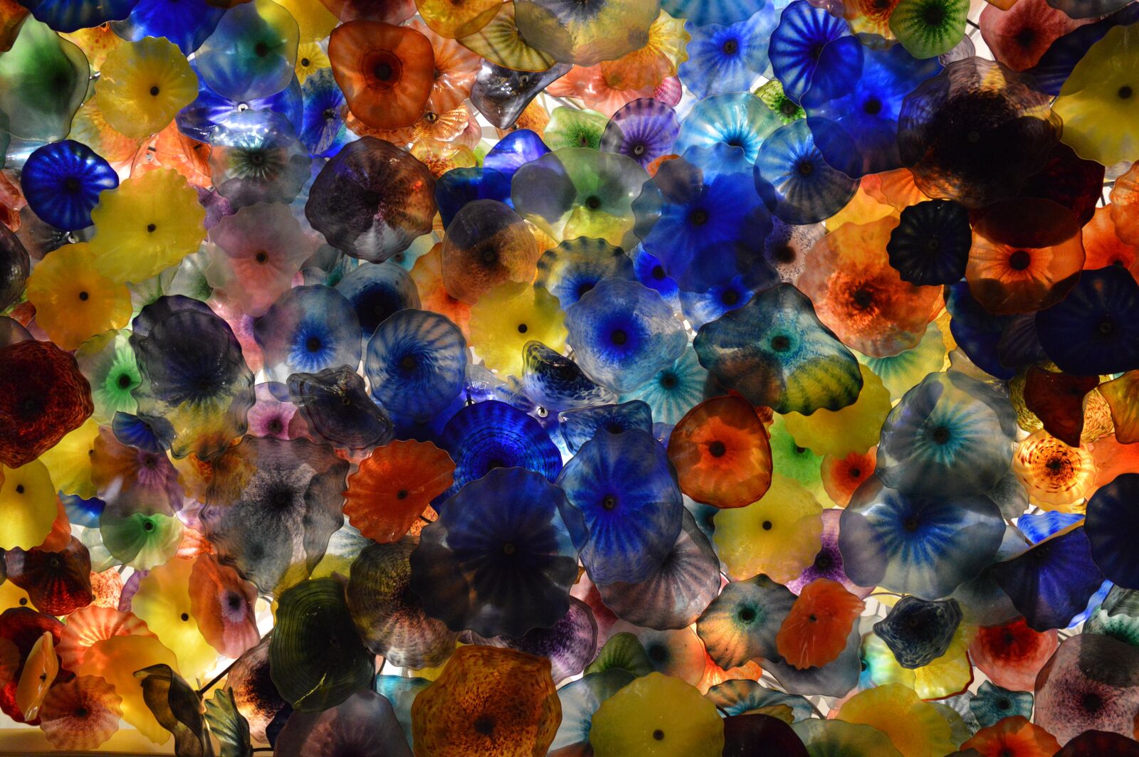 Nikon D3200 sample photo. Glass, flowers, colors photography