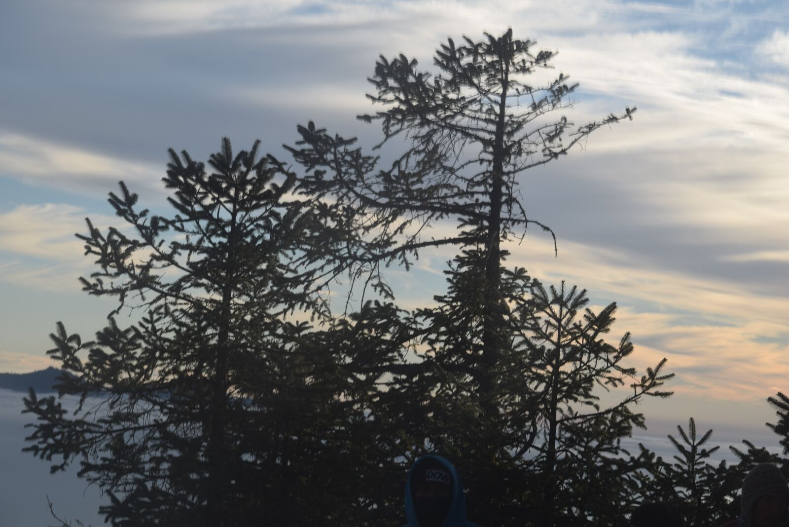 Nikon D3300 sample photo. Kalinchowk, nepal, trekking photography