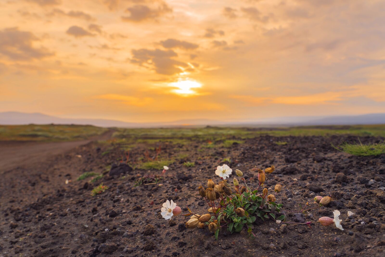 Sony FE 24-105mm F4 G OSS sample photo. Landscape, sunset, nature photography
