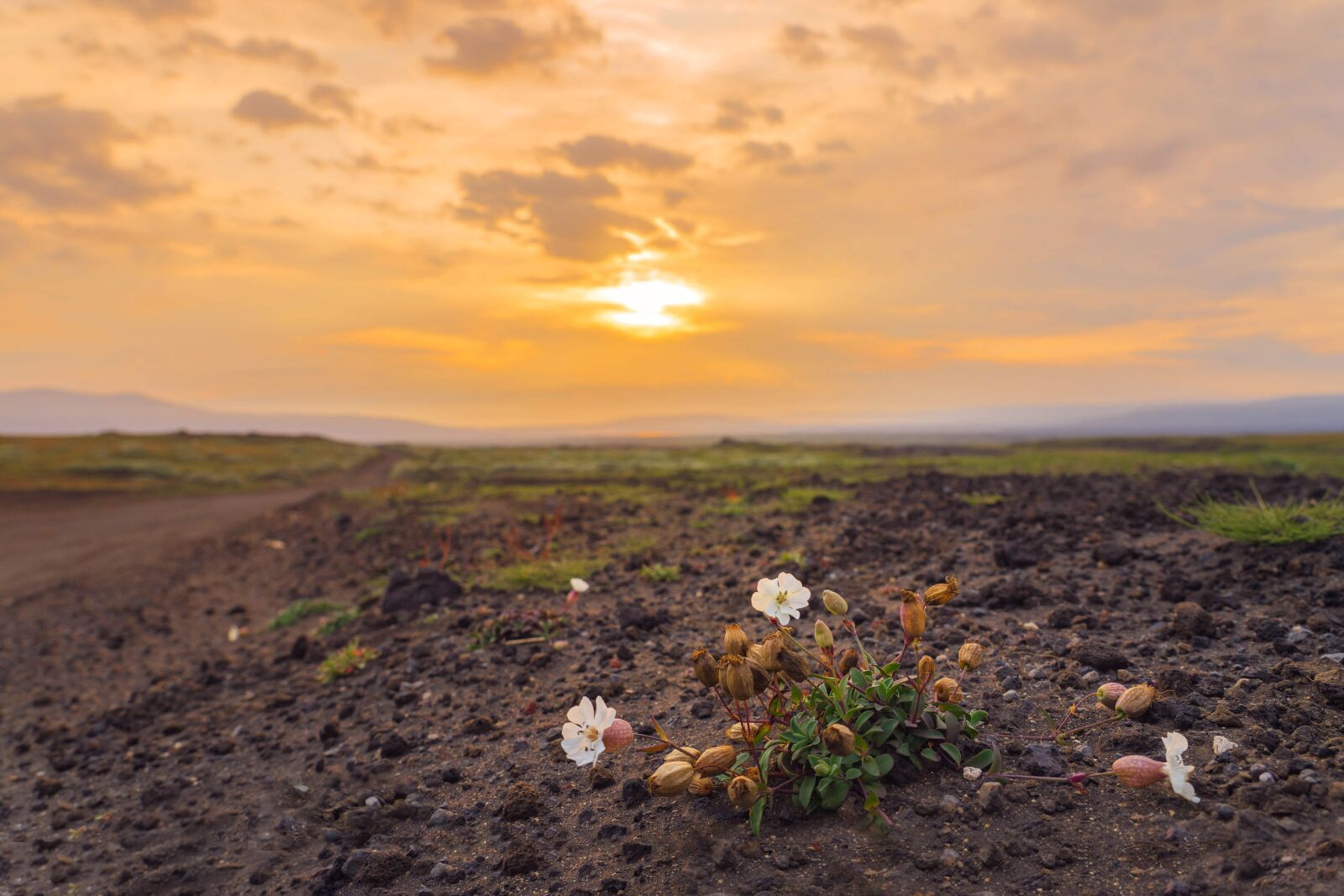 Sony a7 II sample photo. Landscape, sunset, nature photography