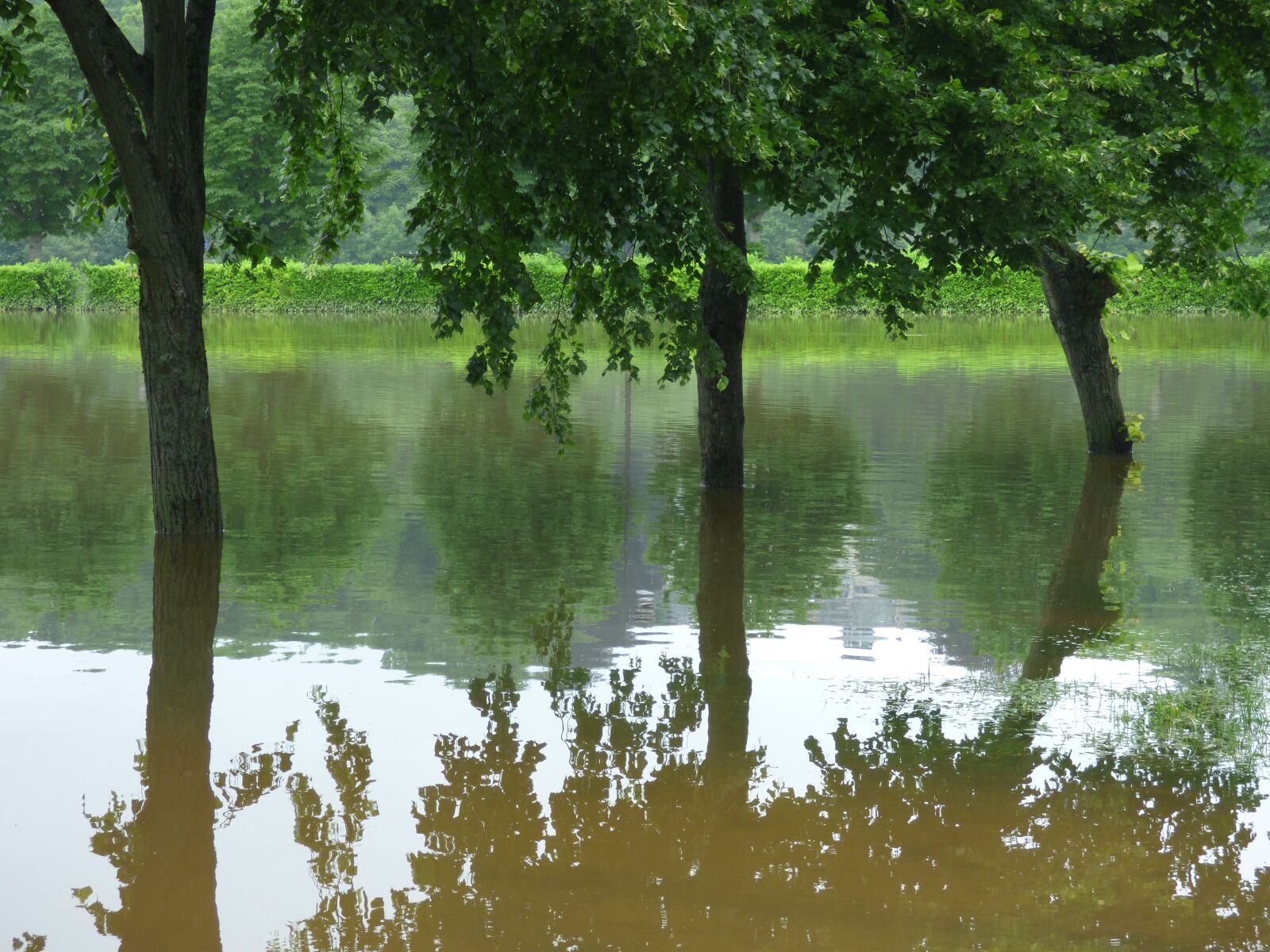 Panasonic DMC-FZ72 sample photo. River, floods, trees photography