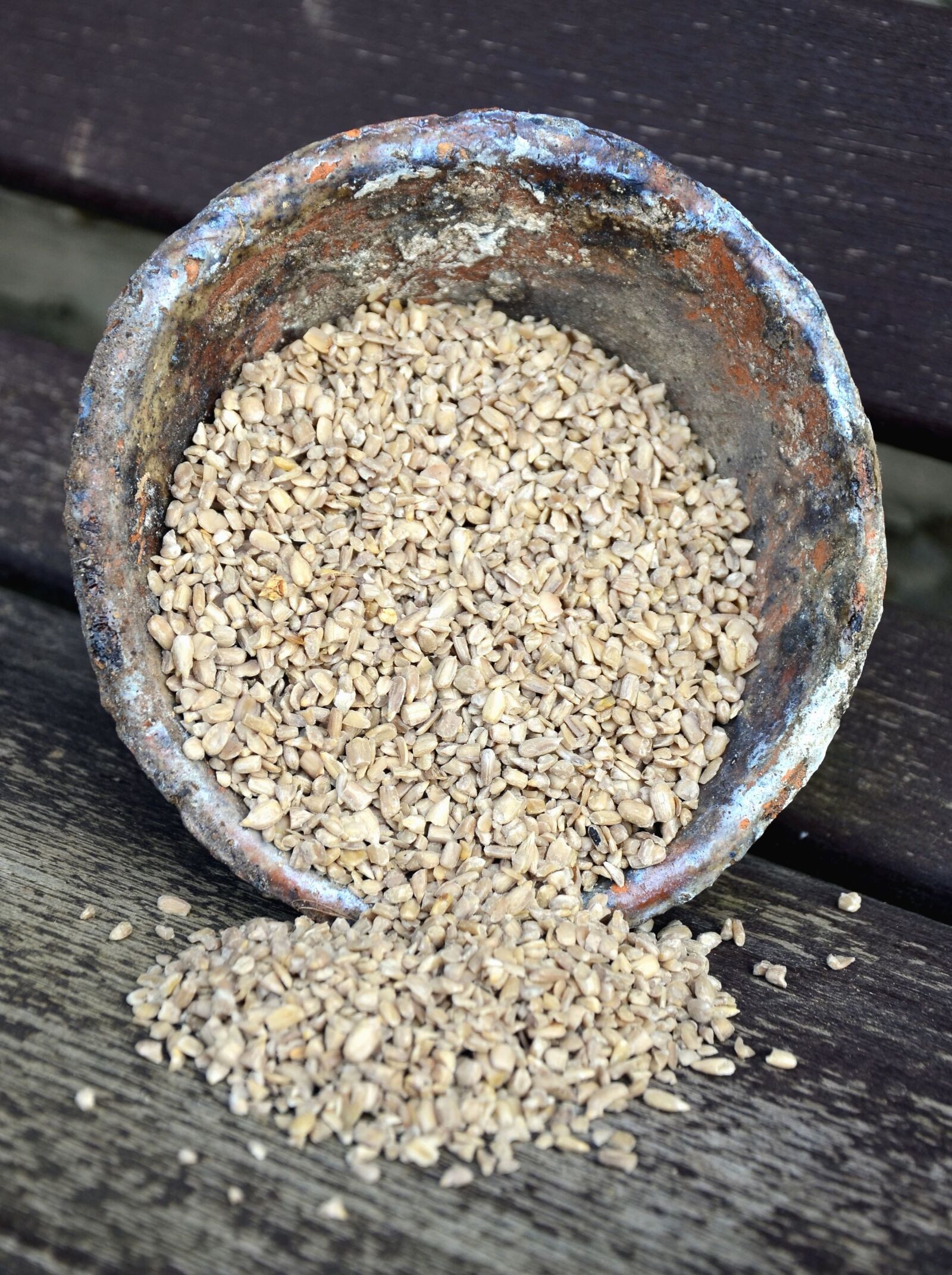 Nikon D5100 sample photo. Sunflower, seed, food, bowl photography