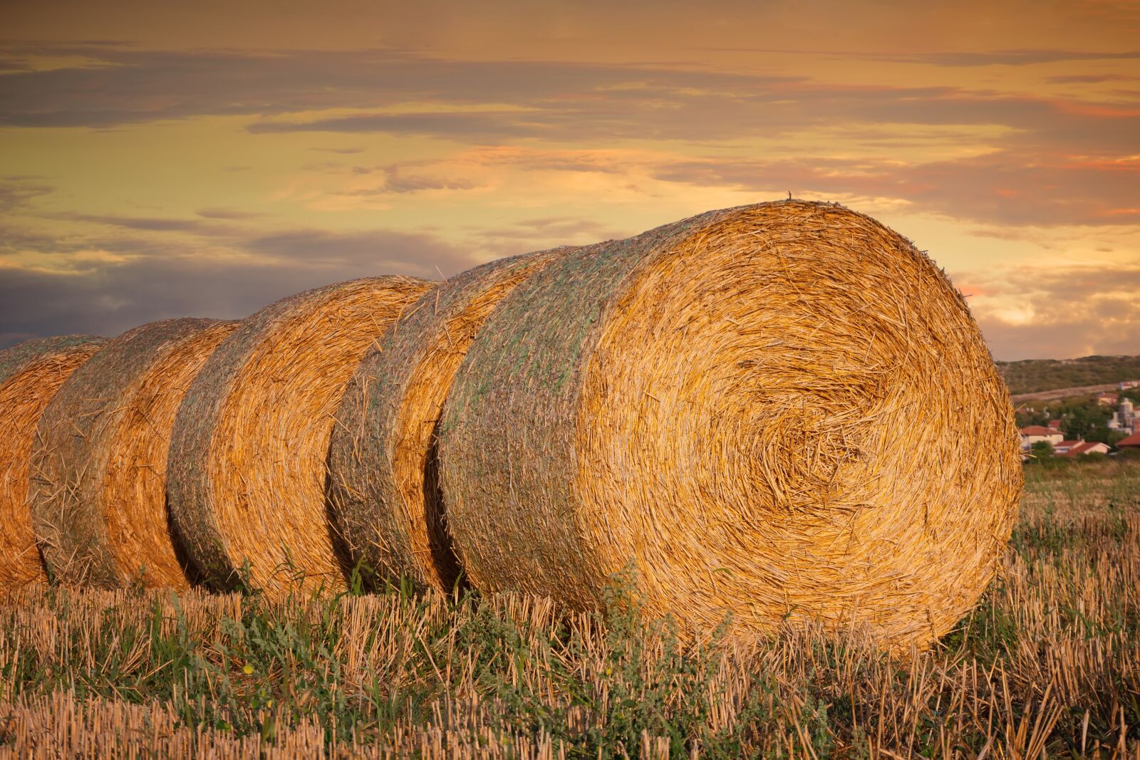 Nikon D7200 sample photo. Round, barley, stack photography
