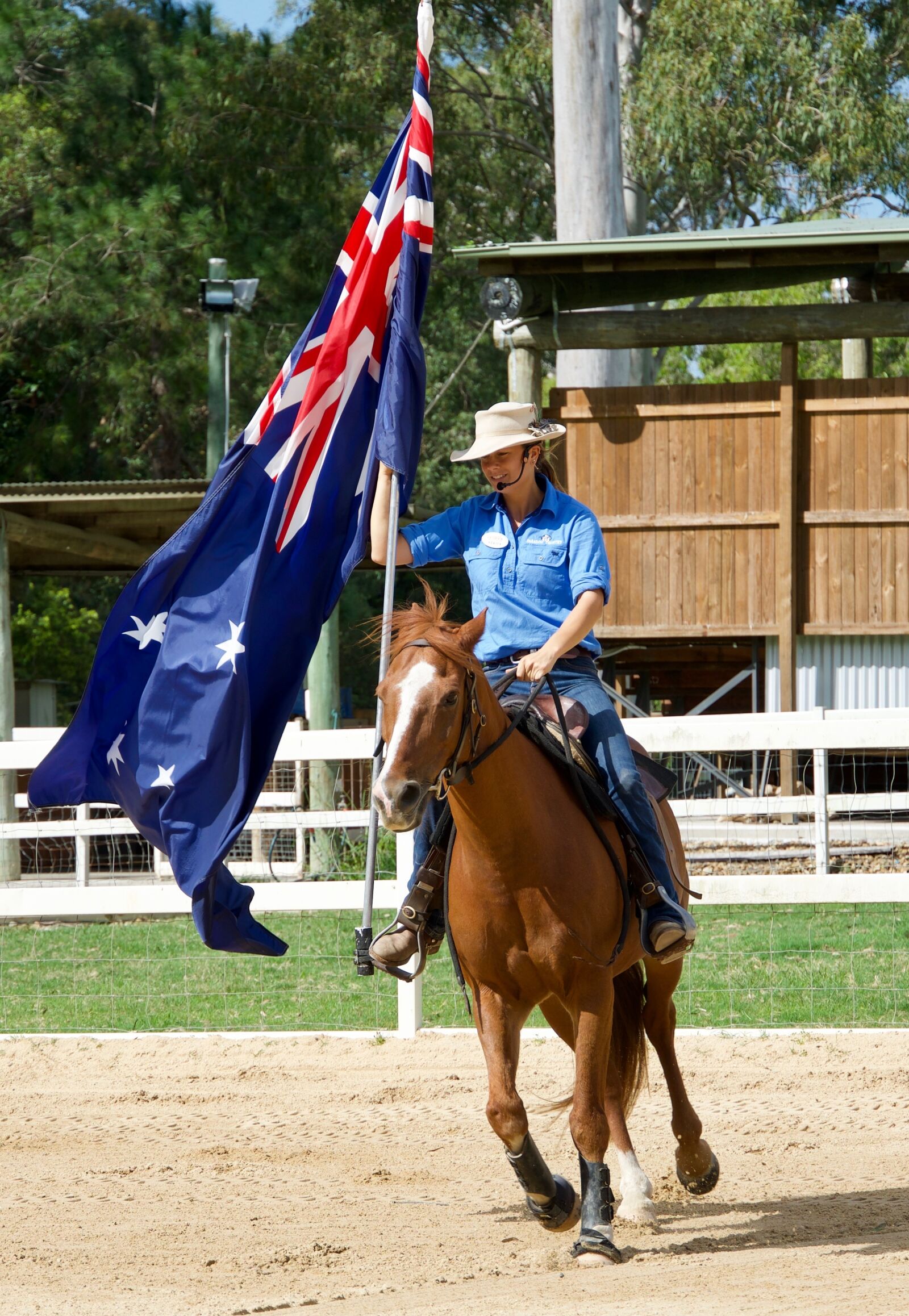 Sony E 18-135mm F3.5-5.6 OSS sample photo. Horse, flag, competition photography