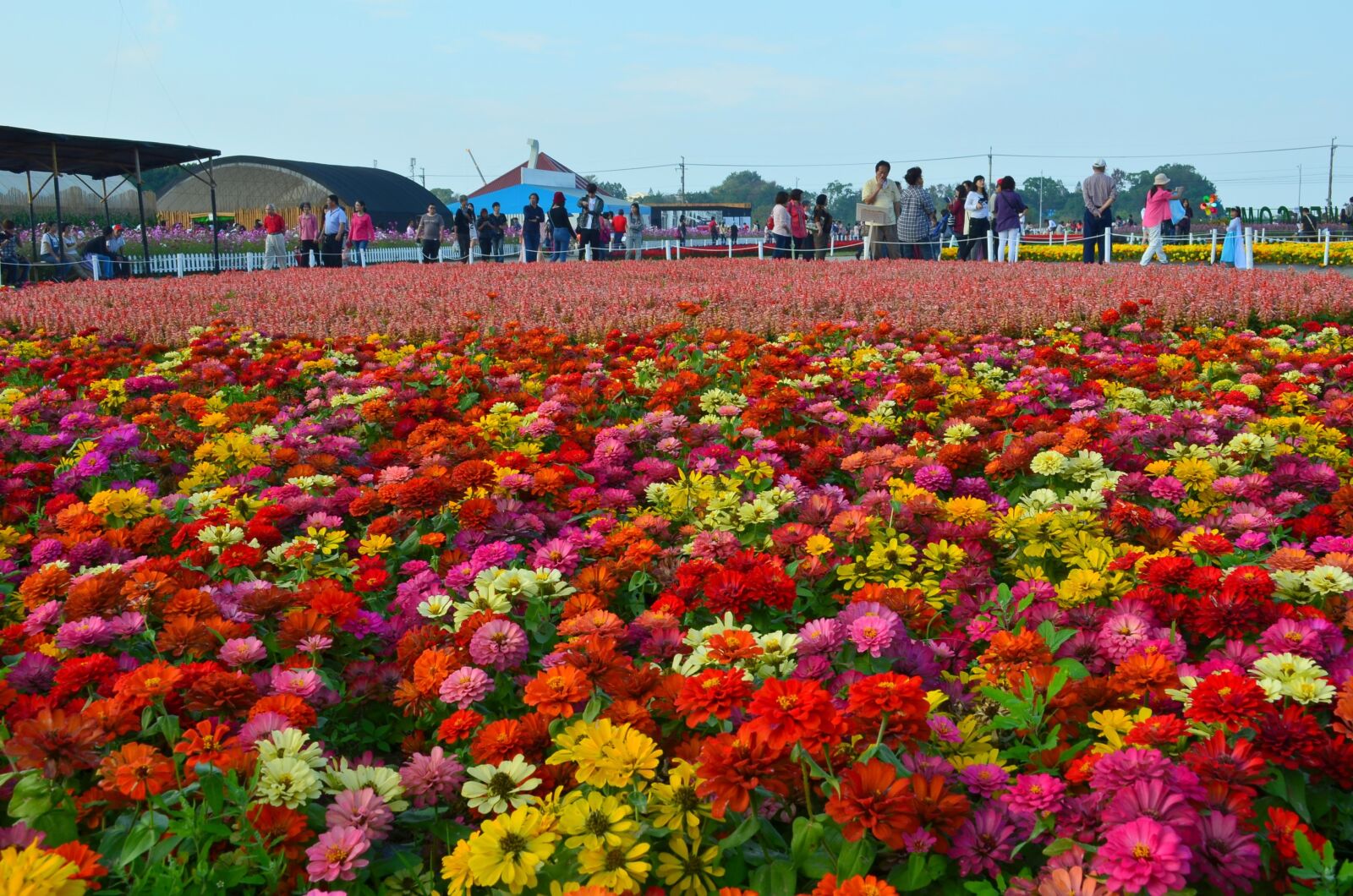Nikon D5100 sample photo. Zte ridge, stinky ju photography