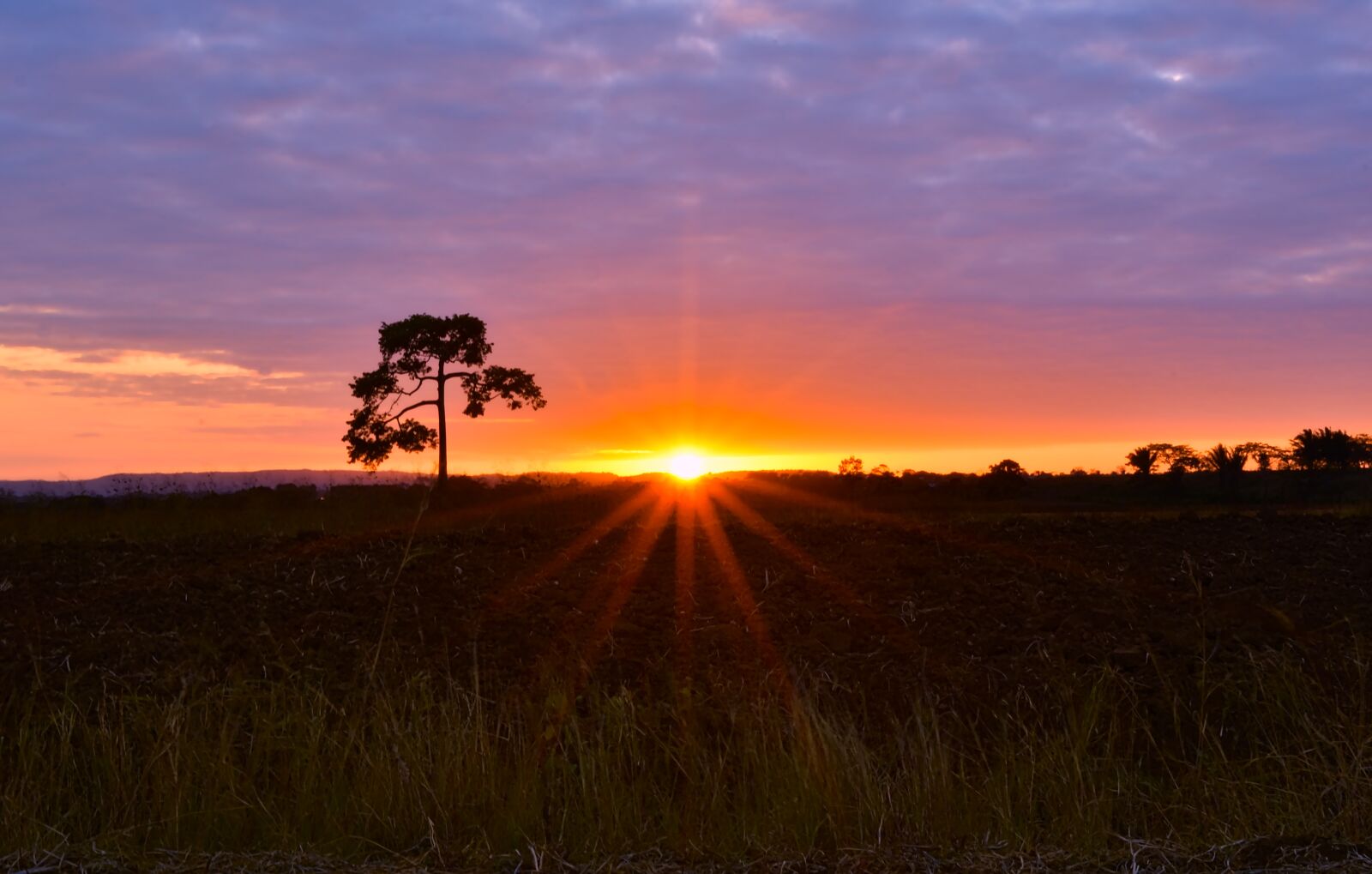 Nikon D7200 sample photo. Sunset, nature, dawn photography