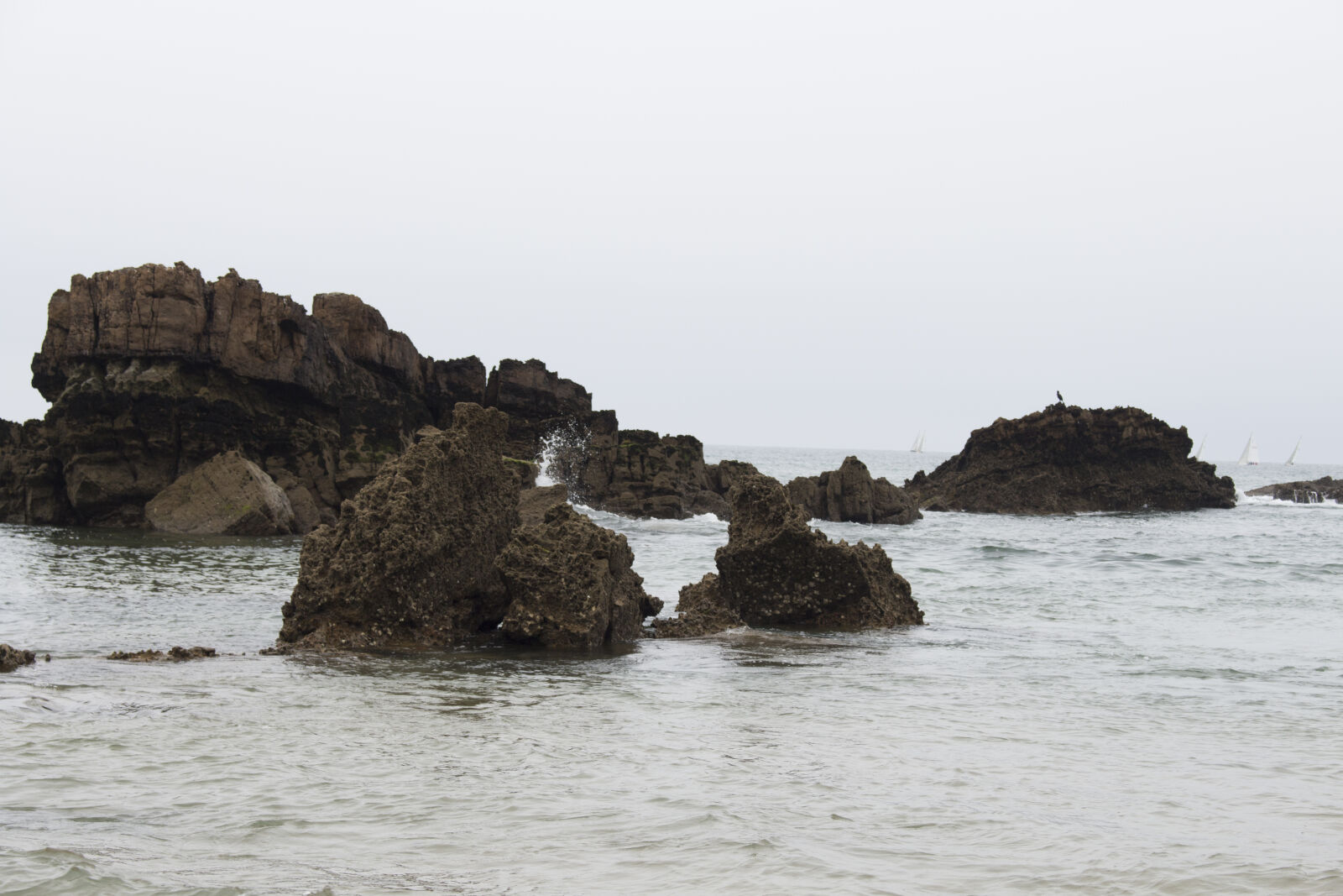 Canon EOS 700D (EOS Rebel T5i / EOS Kiss X7i) sample photo
