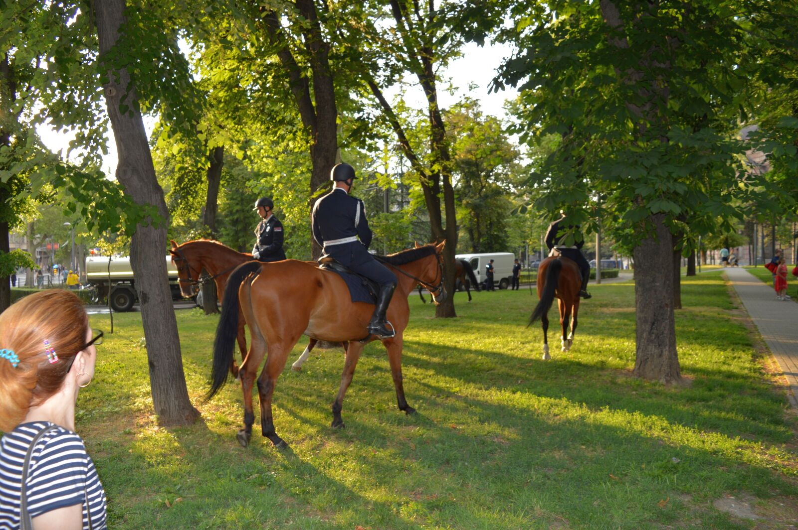 Nikon D3200 sample photo. Mounted police, horses, park photography
