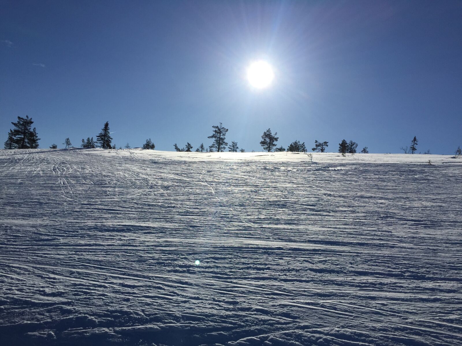 Apple iPhone 6 sample photo. Winter, ski, snow photography