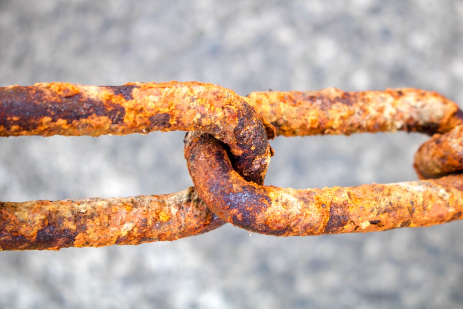 Canon EOS 750D (EOS Rebel T6i / EOS Kiss X8i) sample photo. Chain, rust, node photography