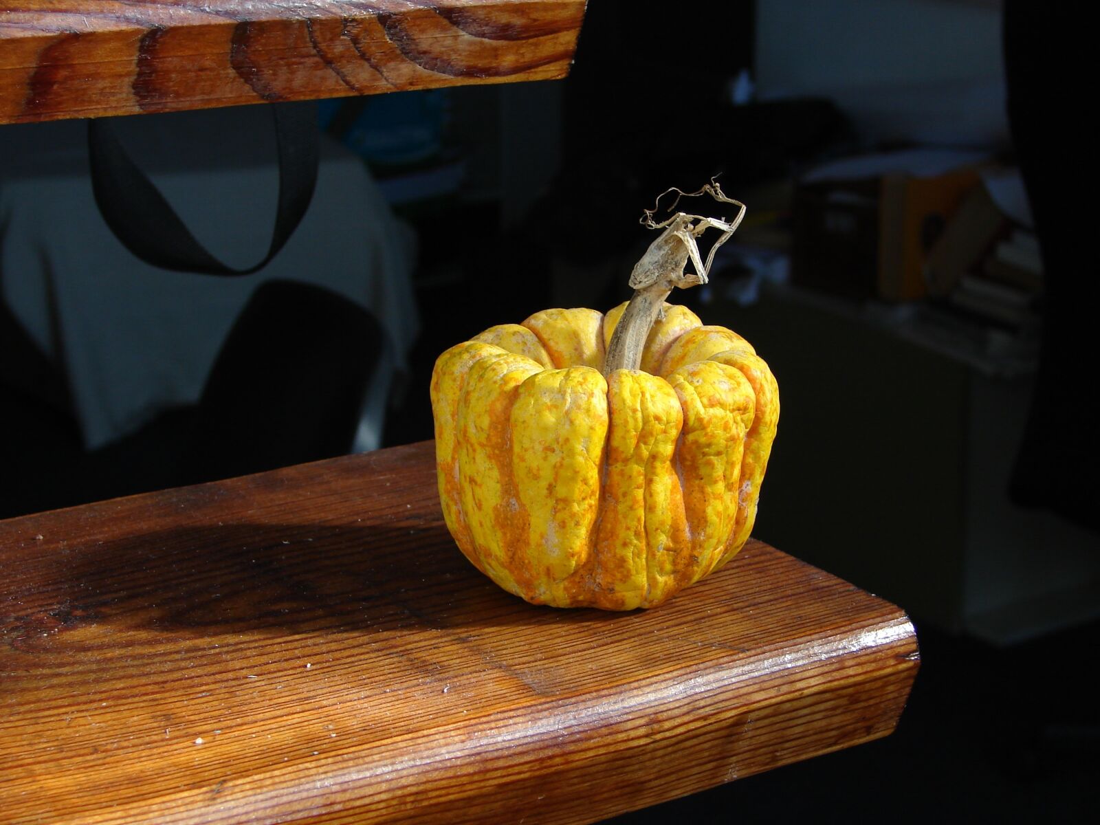 Sony DSC-H2 sample photo. Dry pumpkin, gourd, yellow photography
