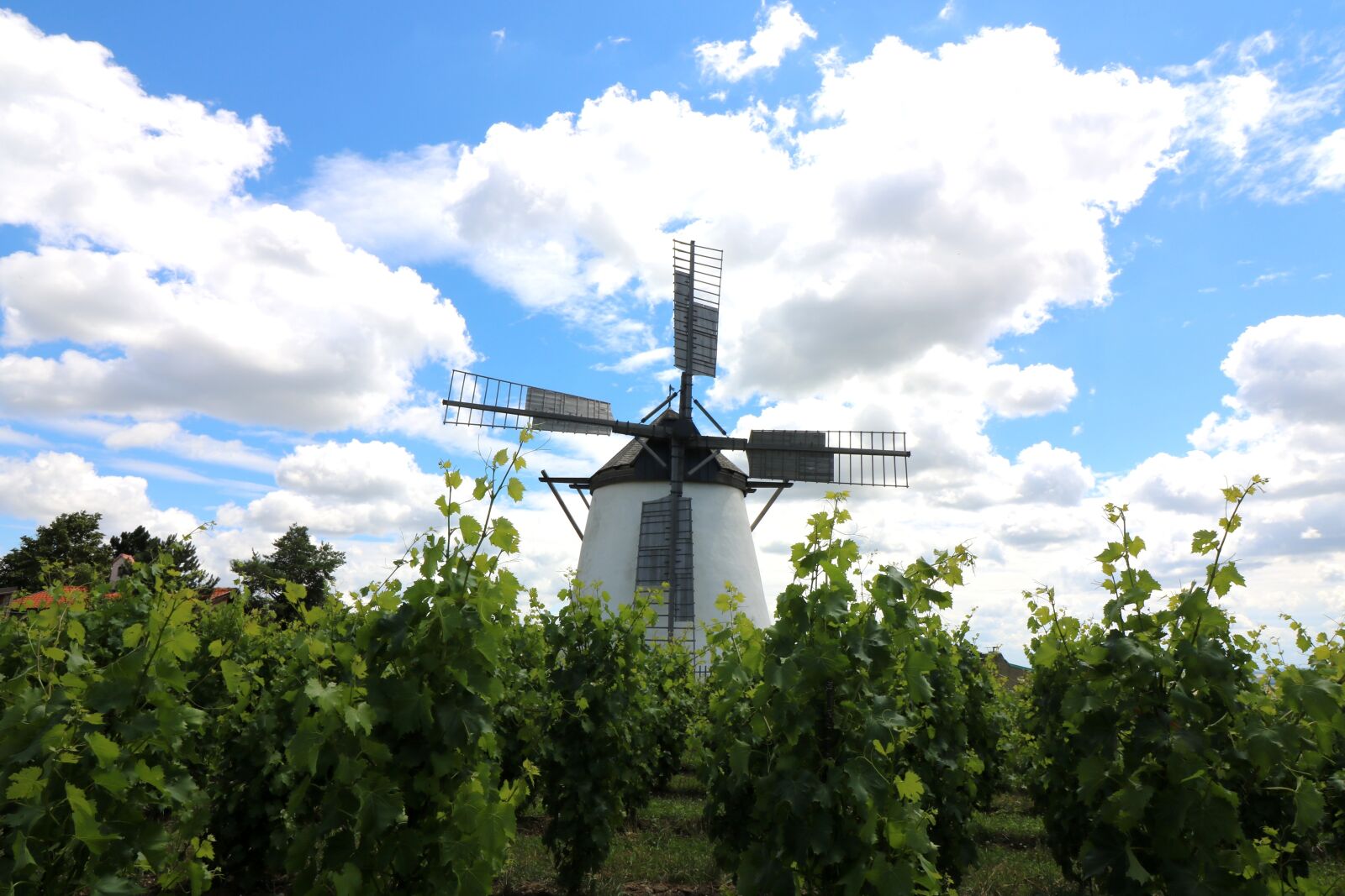 Canon EOS 750D (EOS Rebel T6i / EOS Kiss X8i) sample photo. Windmill, sky, mill photography