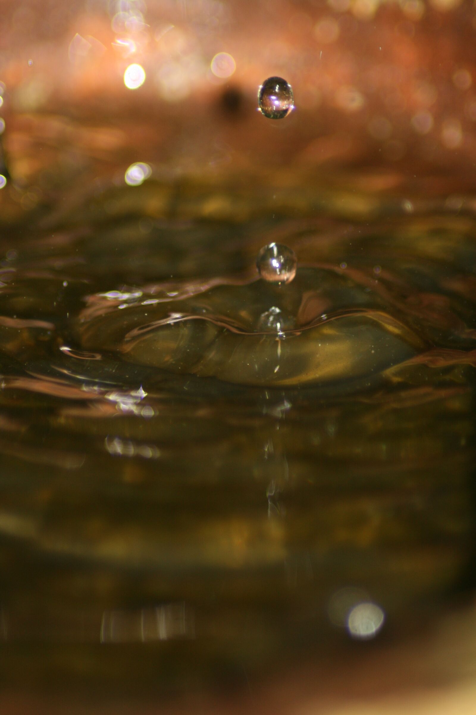 Canon EOS 400D (EOS Digital Rebel XTi / EOS Kiss Digital X) sample photo. Water, drip, close up photography